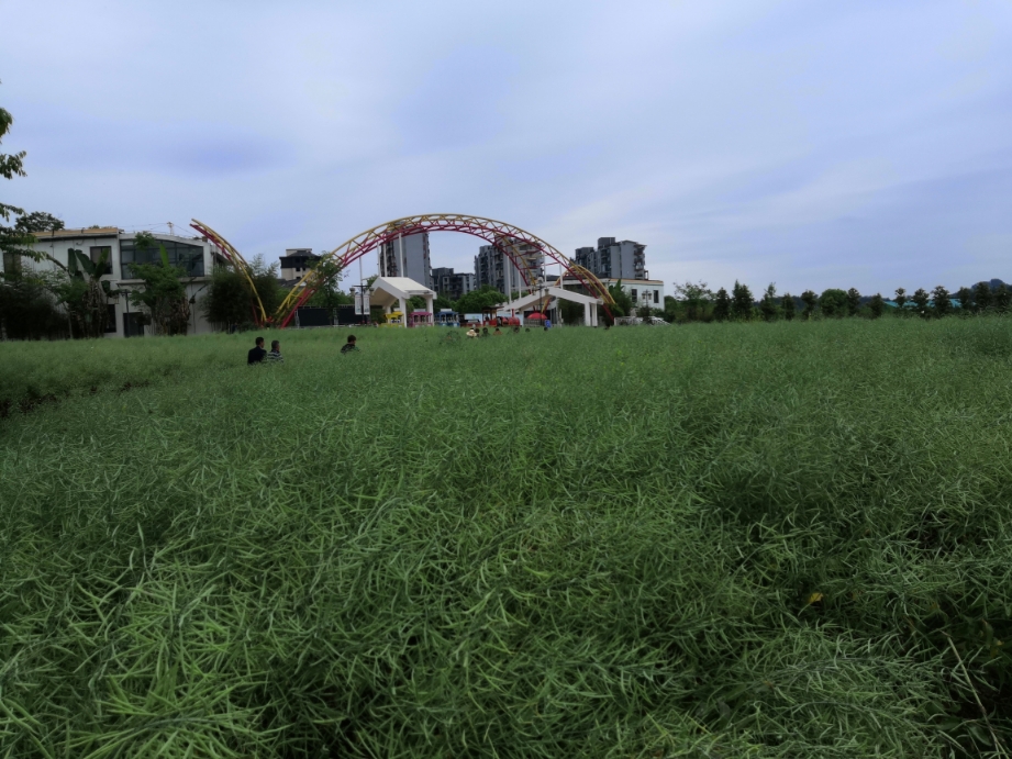 建陽(臥龍灣)武夷花花世界景區被評為國家4a級旅遊景區,位於建陽城郊