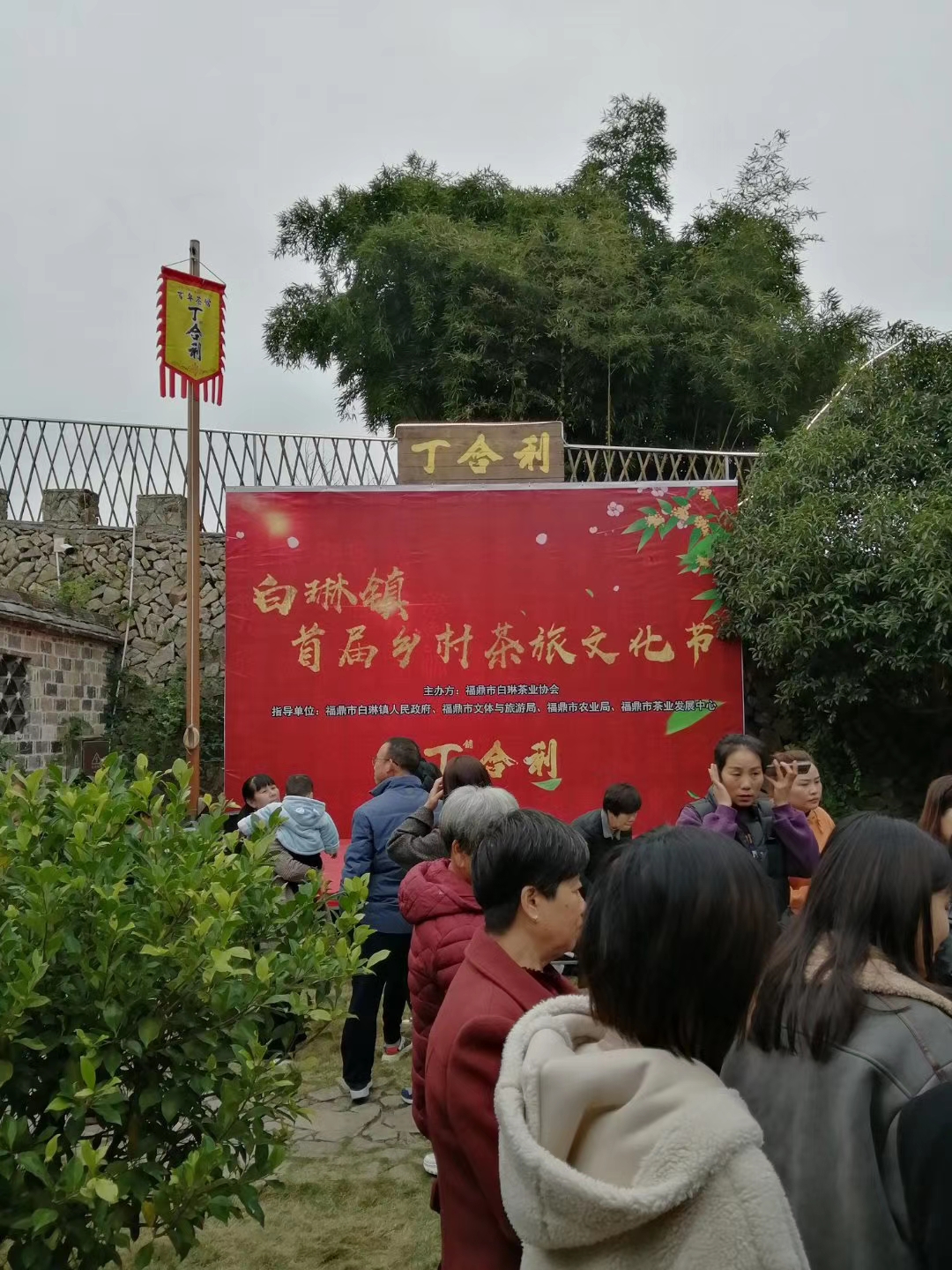 福鼎市白琳首届乡村茶旅文化节