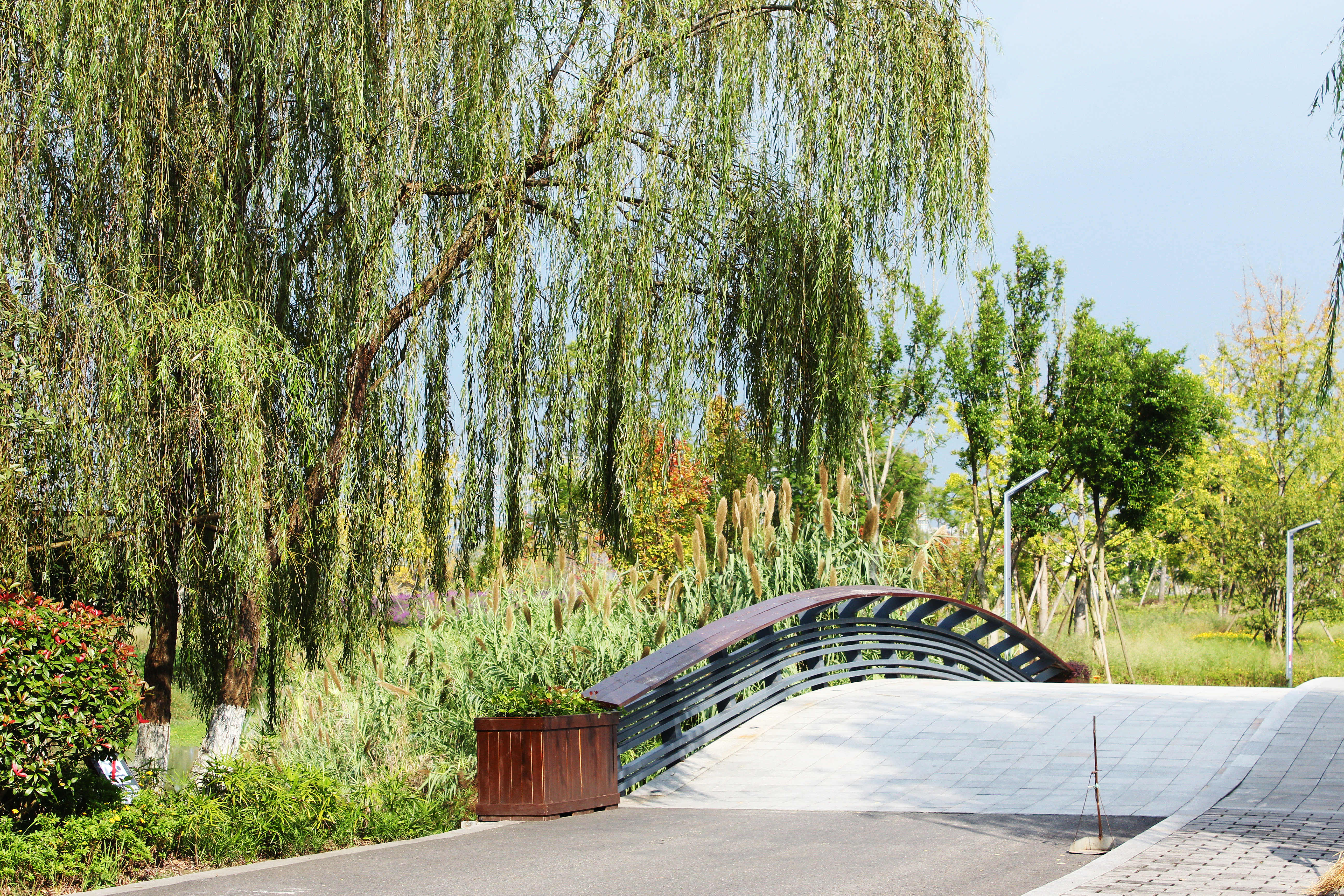 遂宁丨在暖阳下的船山公园感受深秋的浪漫