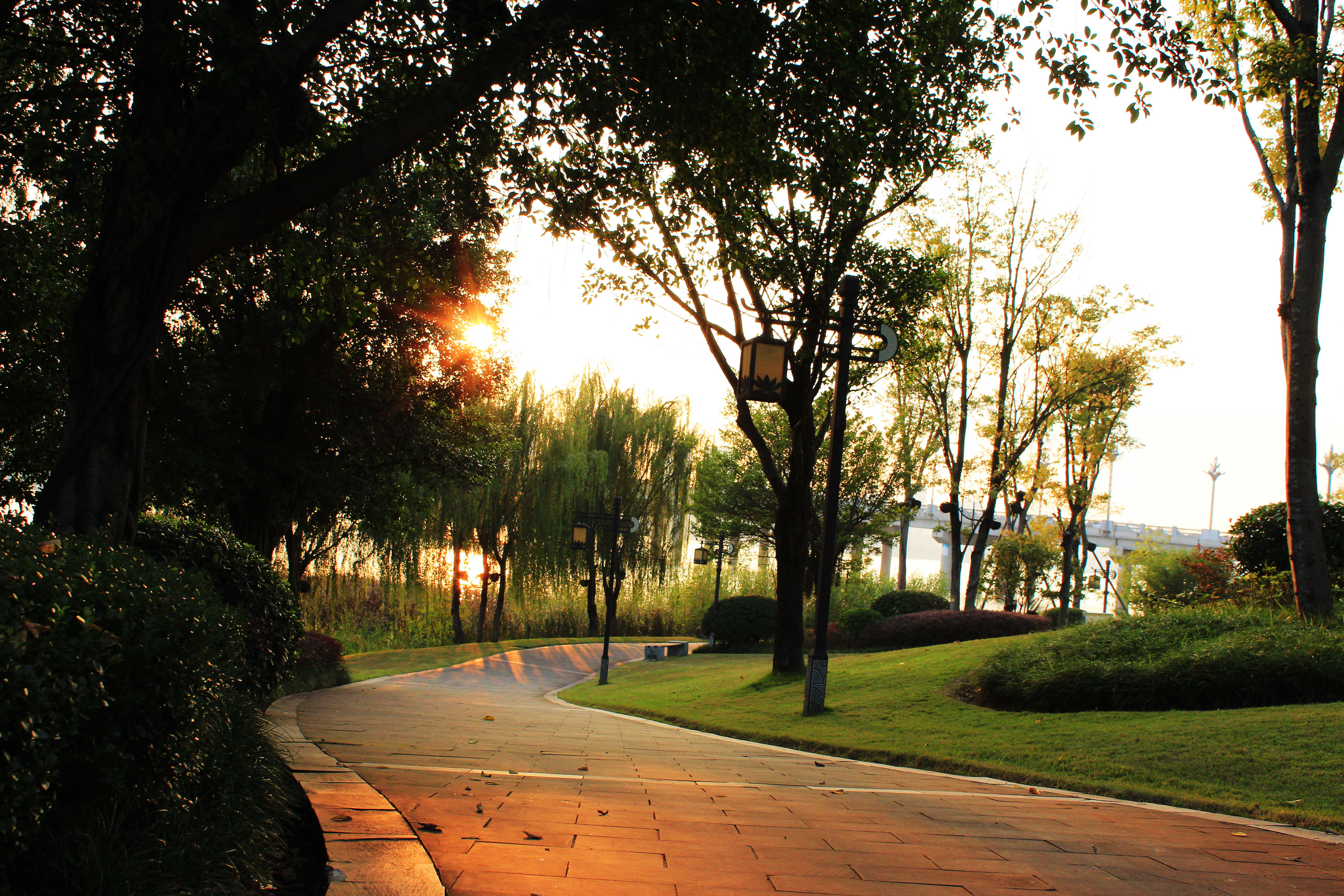 遂宁丨在暖阳下的船山公园感受深秋的浪漫