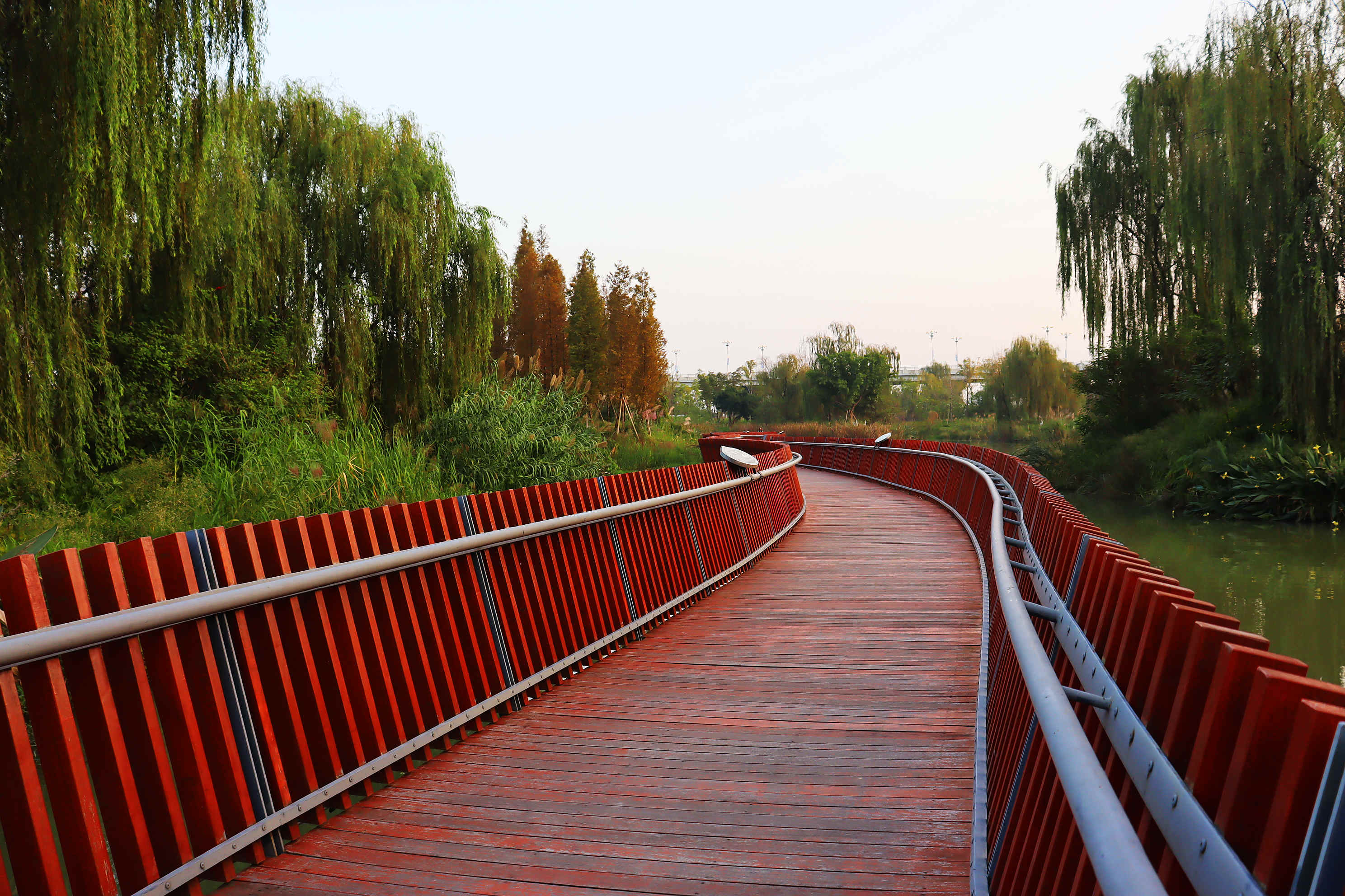 遂宁丨在暖阳下的船山公园感受深秋的浪漫