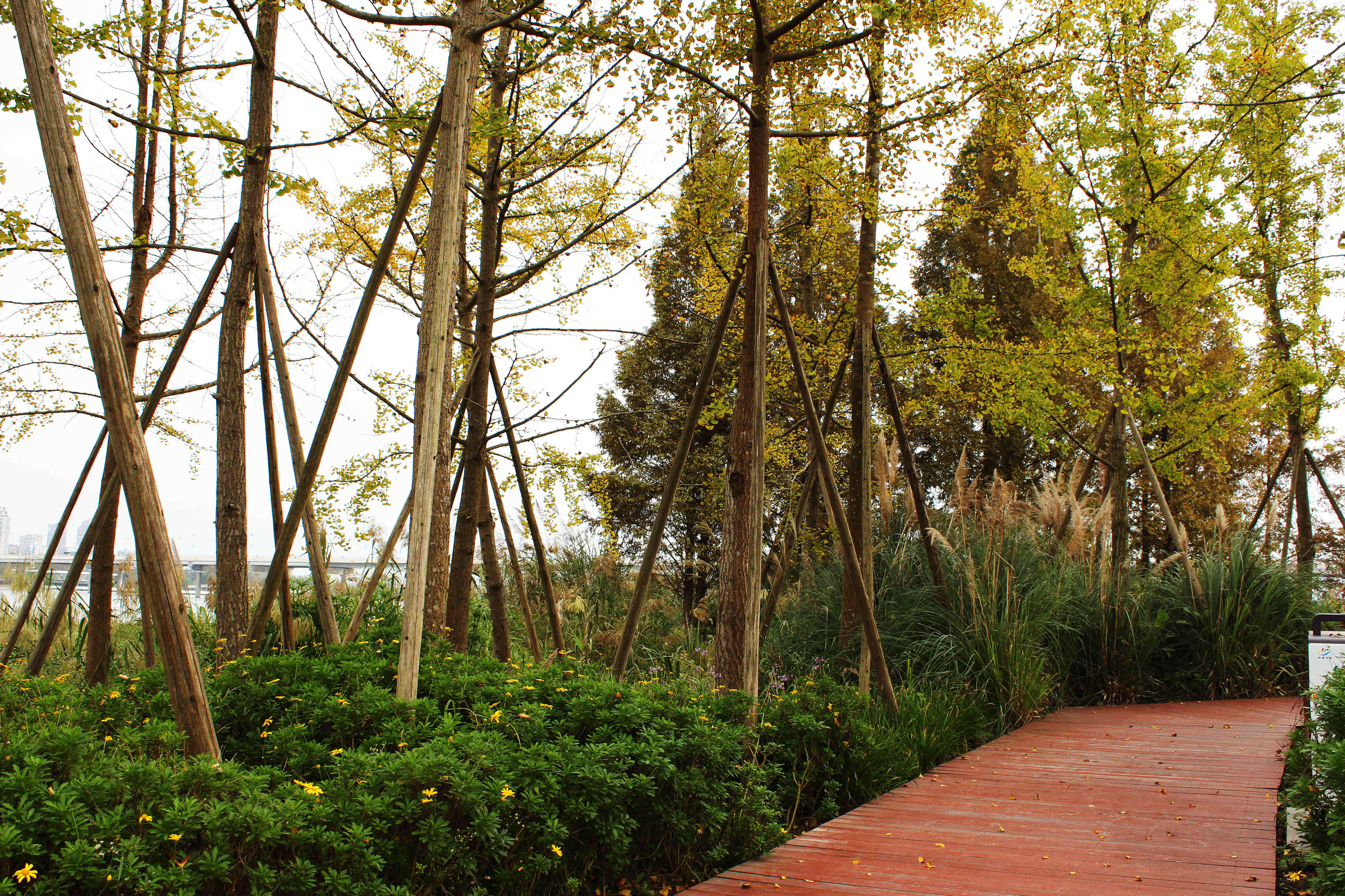 遂宁丨在暖阳下的船山公园感受深秋的浪漫