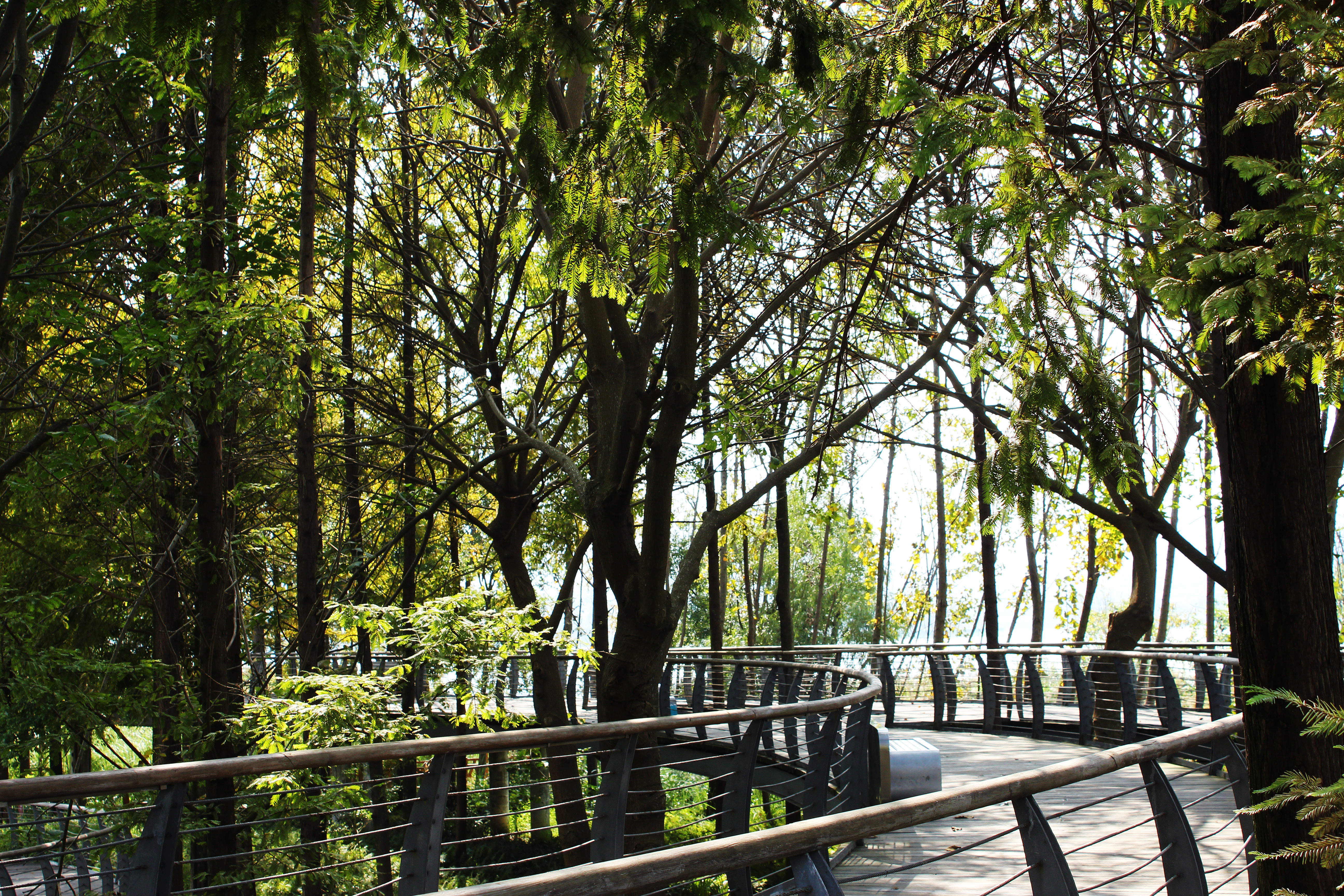 遂宁丨在暖阳下的船山公园感受深秋的浪漫