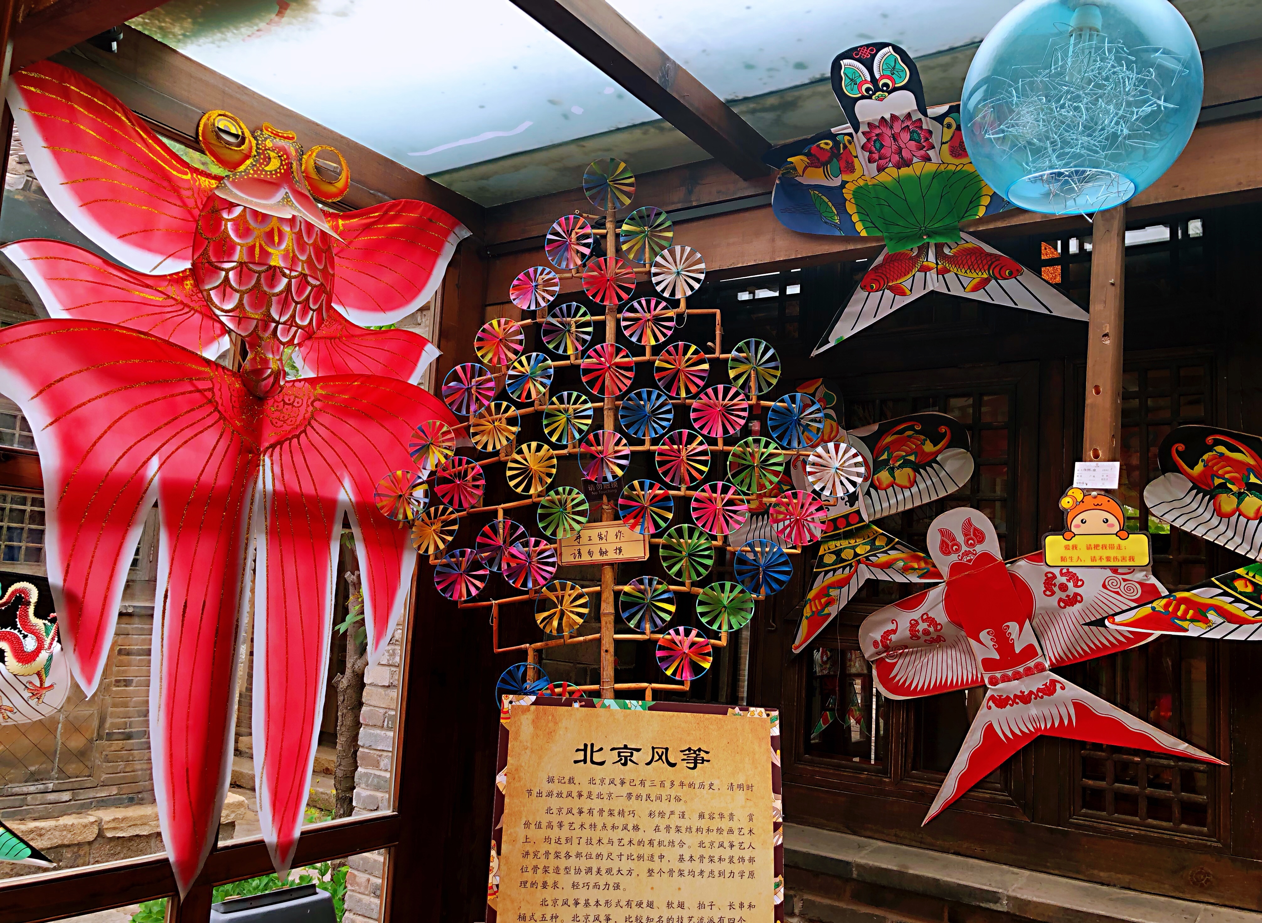 小时候一到春天就喜欢放风筝,那时候会自己折一些简易的风筝,但是很丑