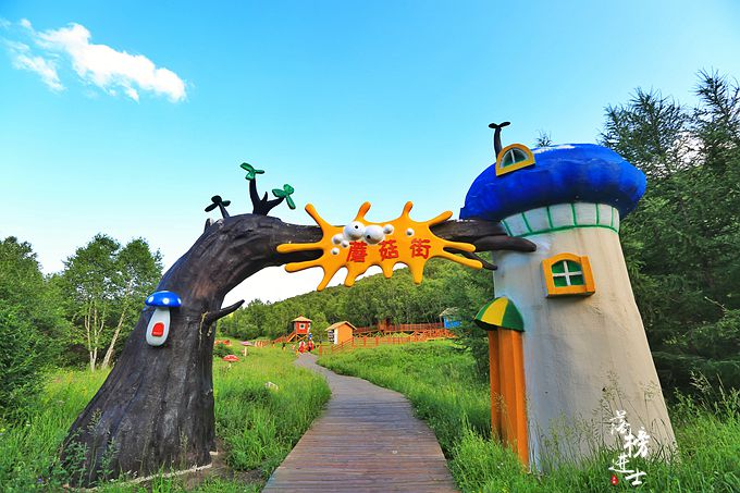 丰宁坝上2日游,宛如童话世界的七彩森林_坝上草原游记_途牛