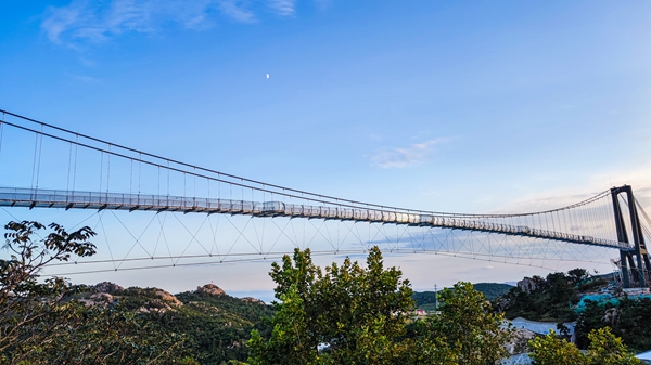 动物世界新增的玻璃栈道建在猛兽区上空,人在桥上走,狮虎桥下吼,我