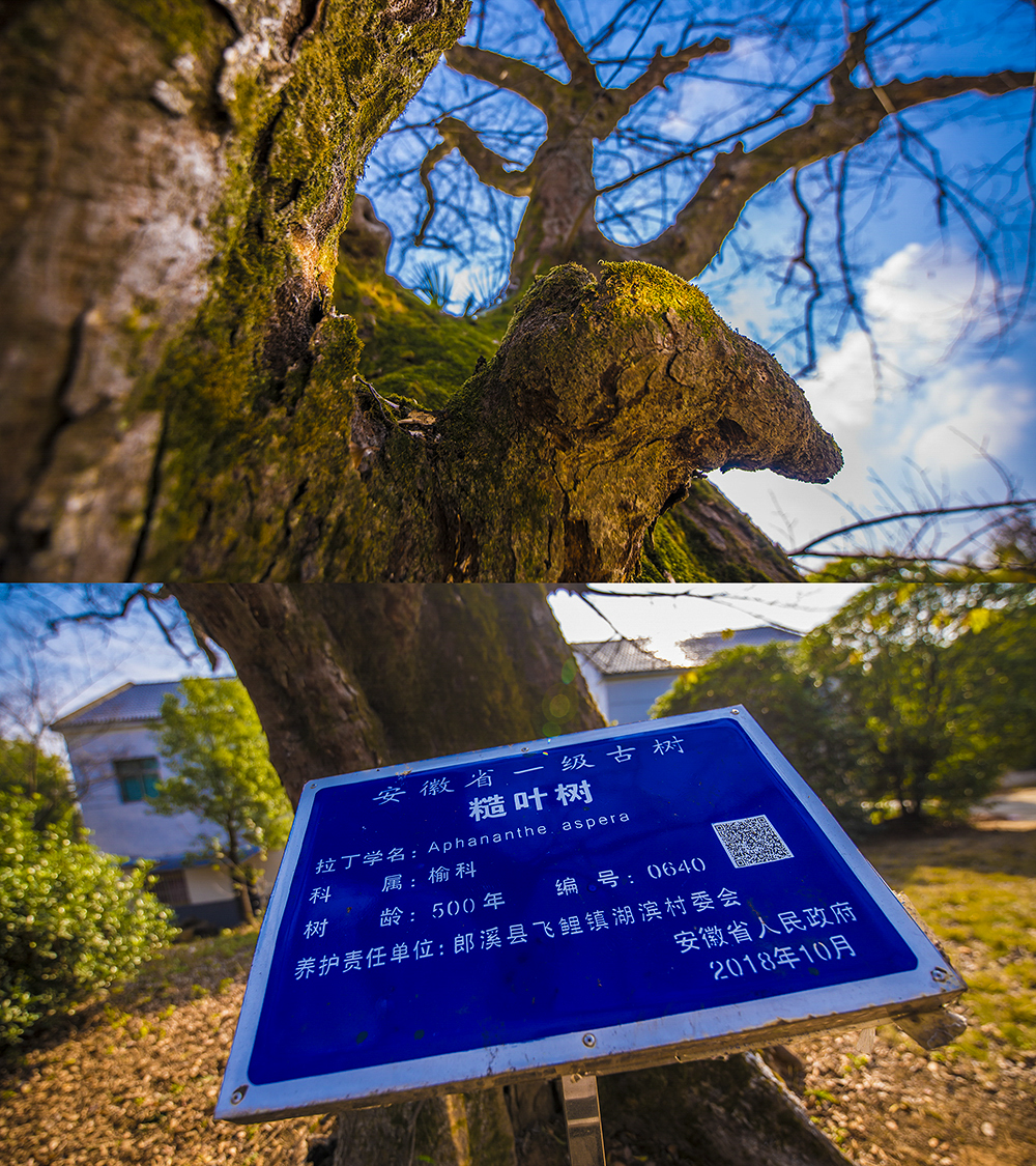 宣城郎溪天气预报预报