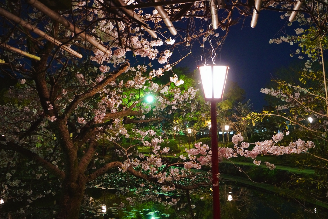 神野公园动态 途牛