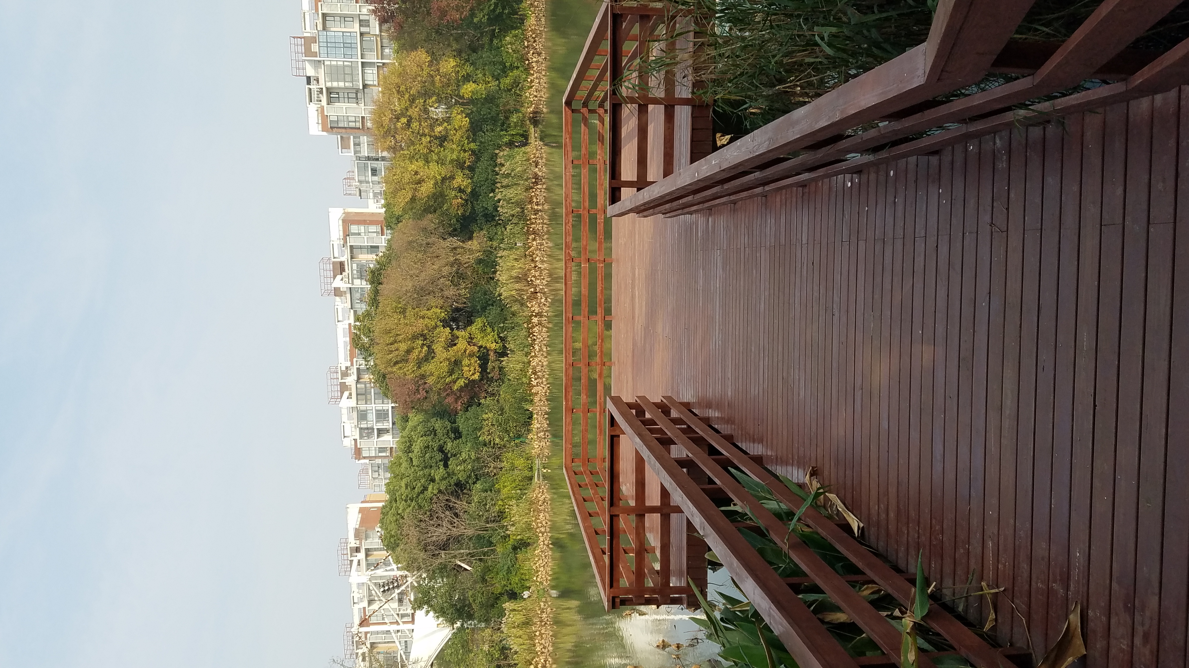 新江湾城公园图片