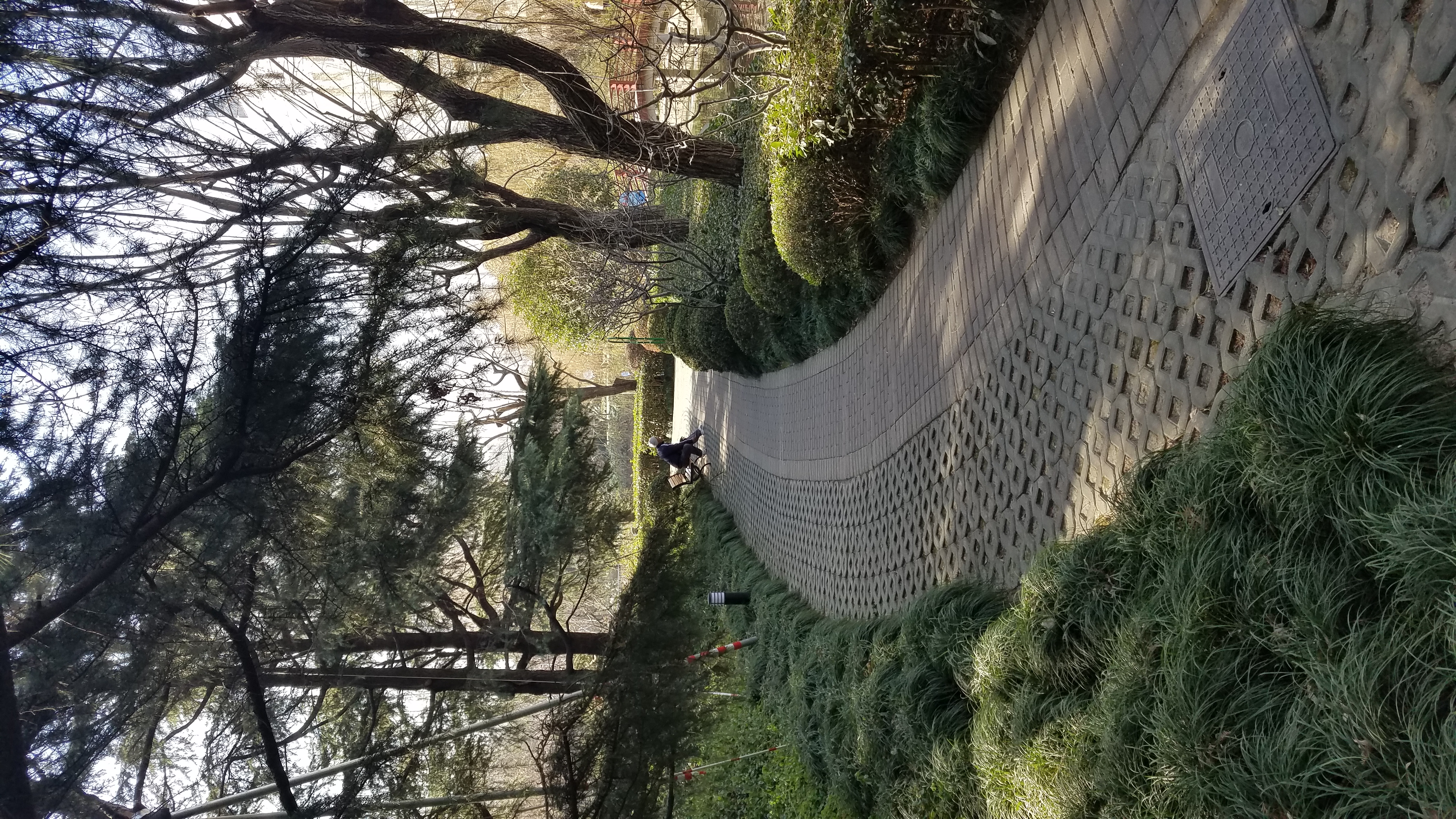 上南公园_上海游记_途牛