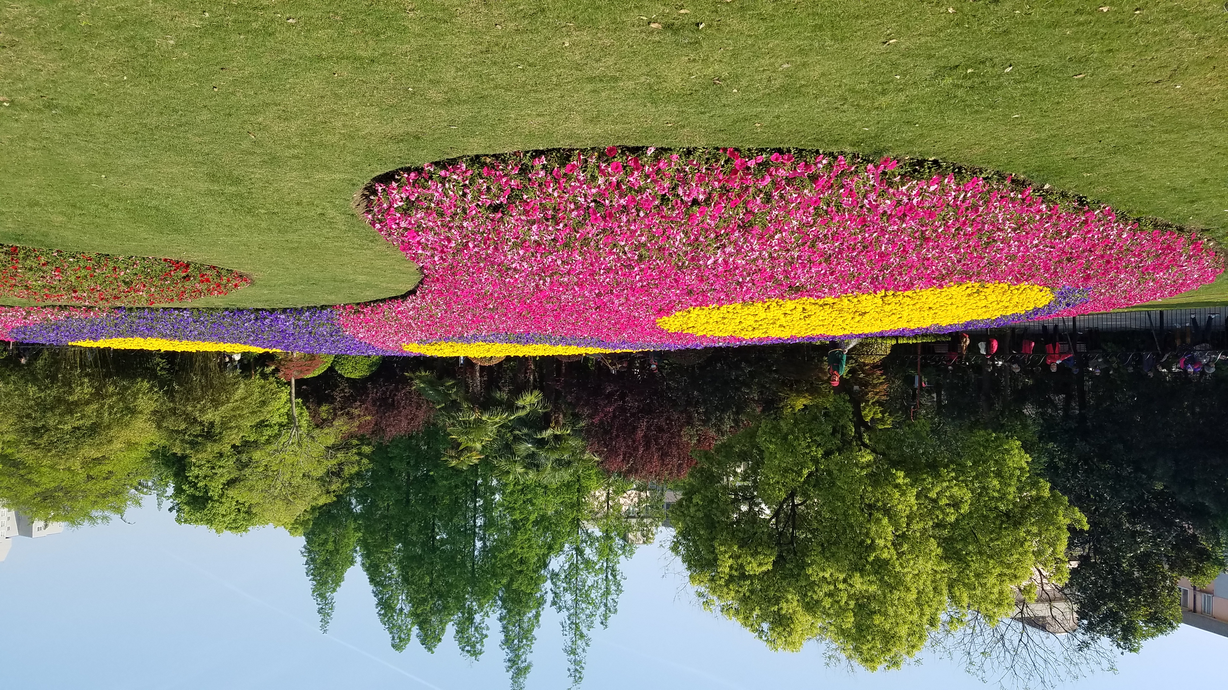 城市名园民星公园