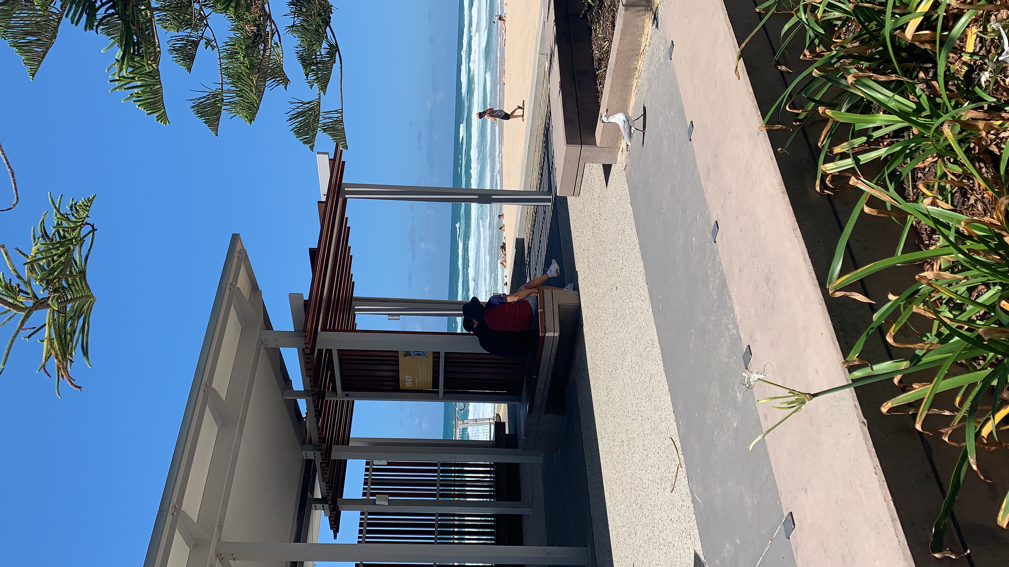 vania和young的蜜月旅行