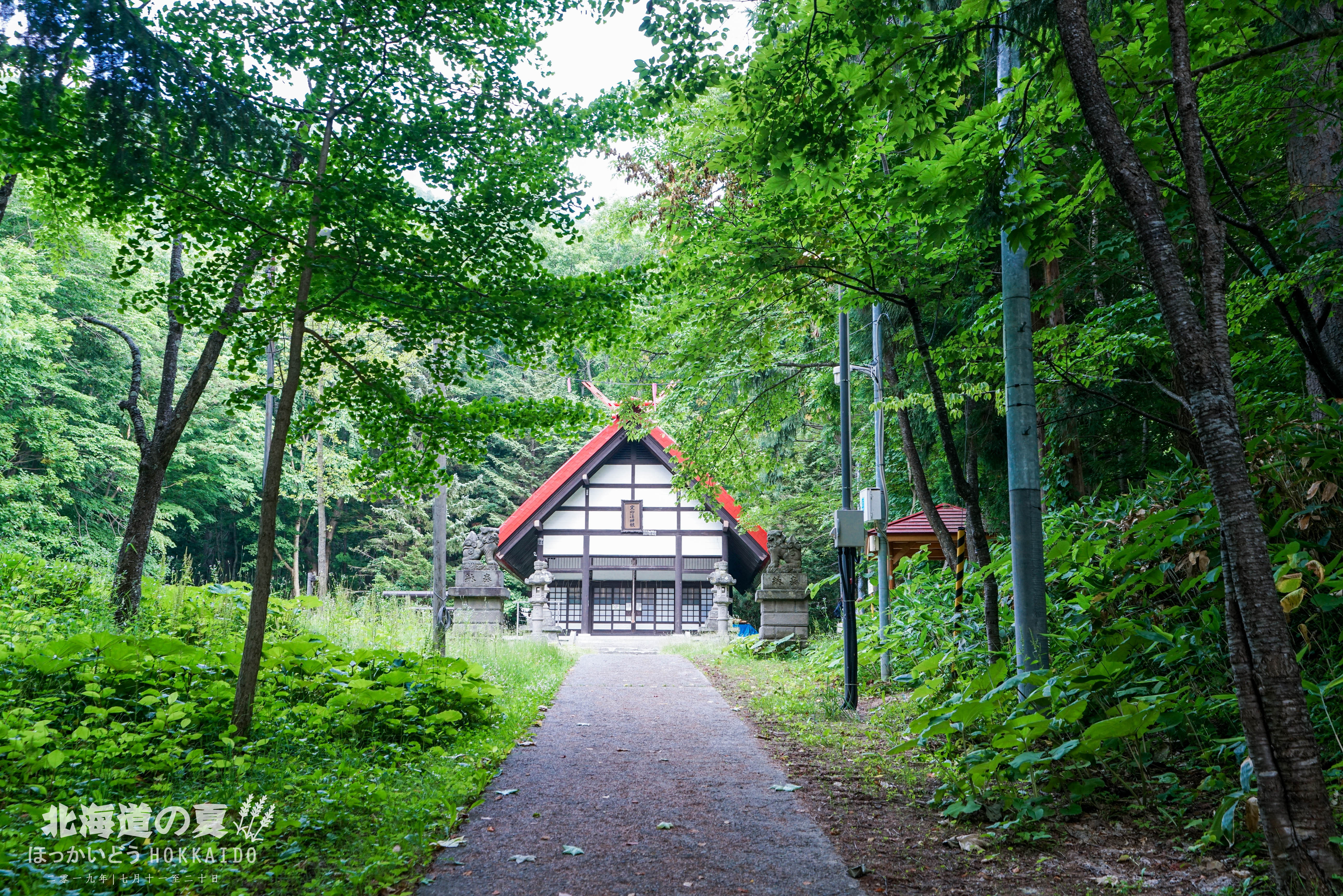 途牛首发 北海道十日谈 与薰衣草的夏日对话 夏日小众玩法 北海道 攻略游记 途牛