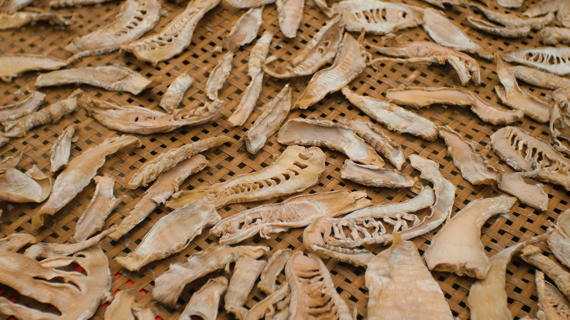 每家每户门前都晒着很多笋干.