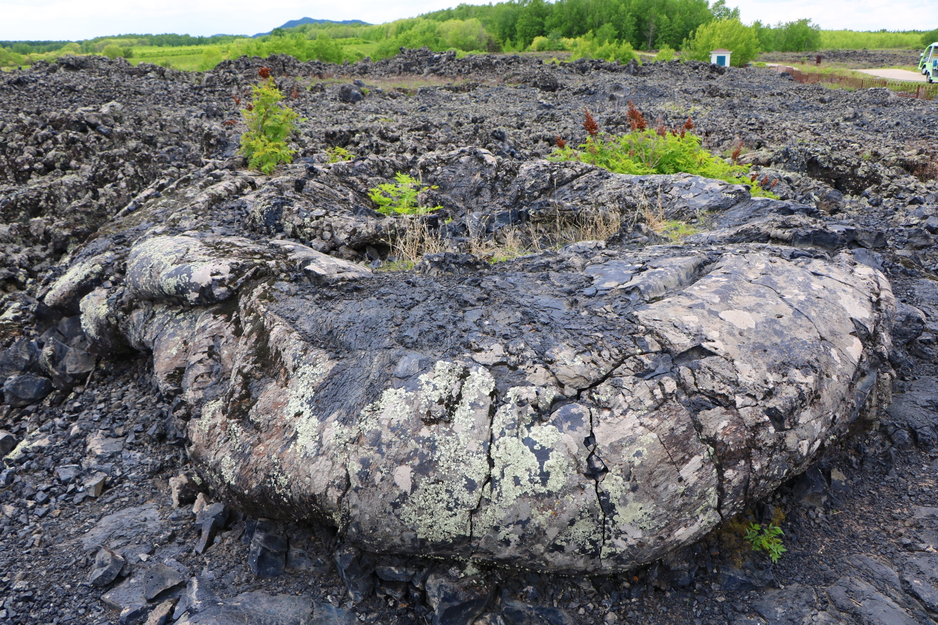 解锁新地标五大连池火山地貌