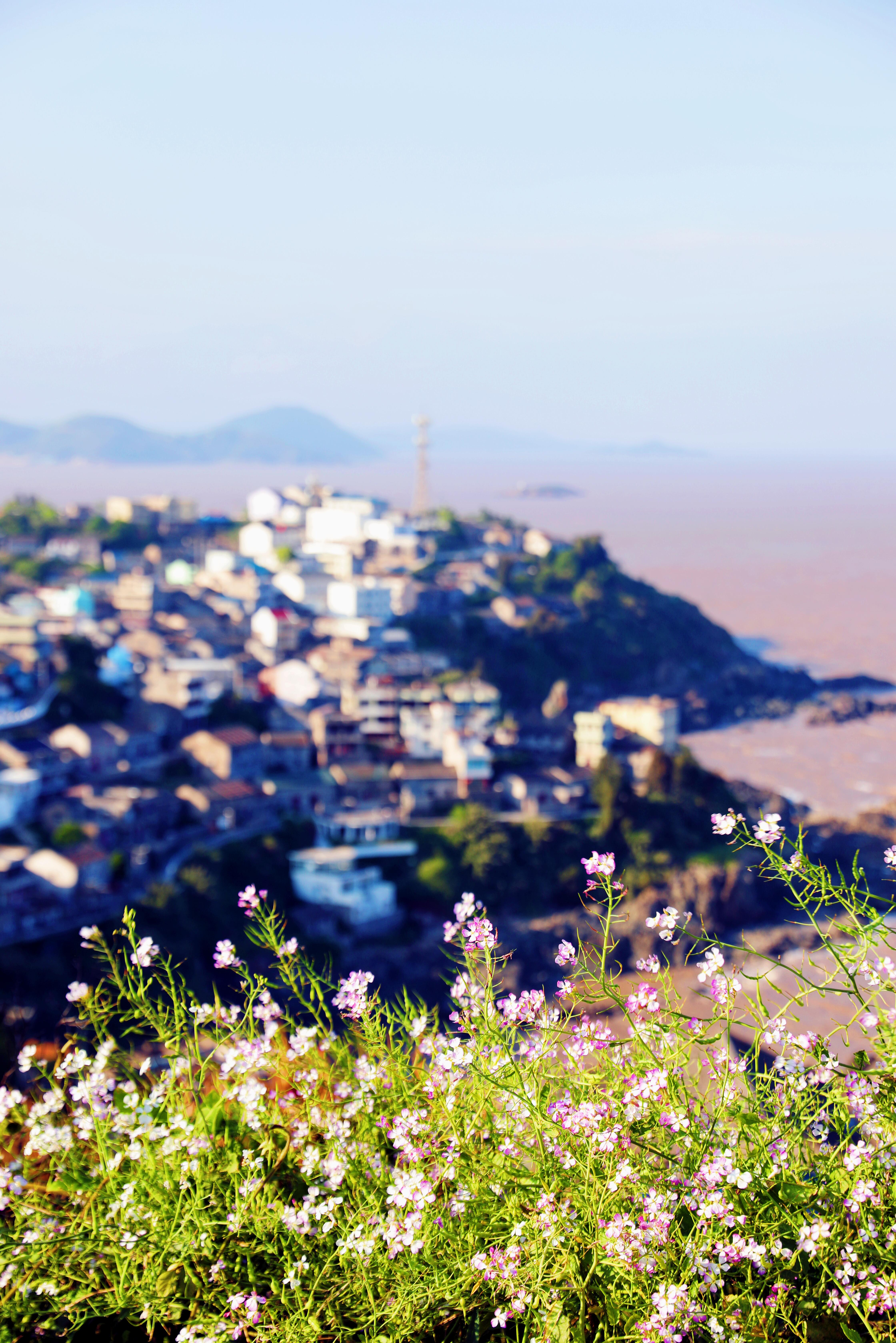 这个春天的旅行我记忆最深刻的就是原始的海岛旅行_台州玉环大鹿岛