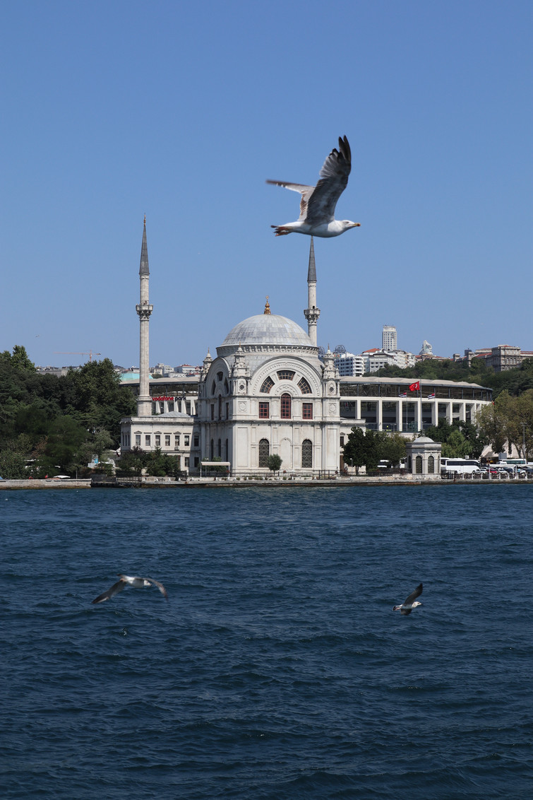 伊斯坦布尔一日游值得吗?250美金。还是我自
