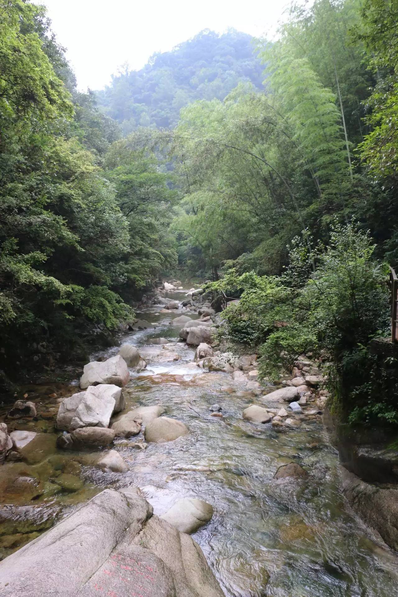 石臺醉山野她的美對得住這名字