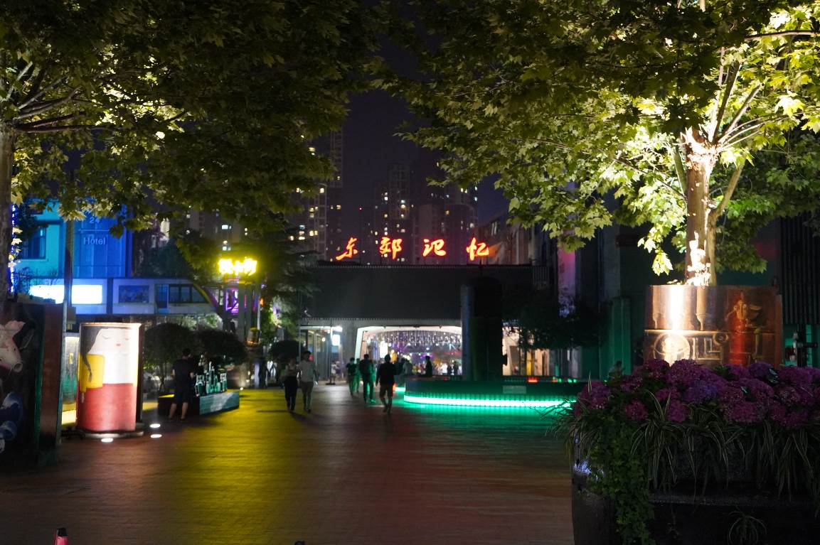 老成都的记忆——东郊音乐公园