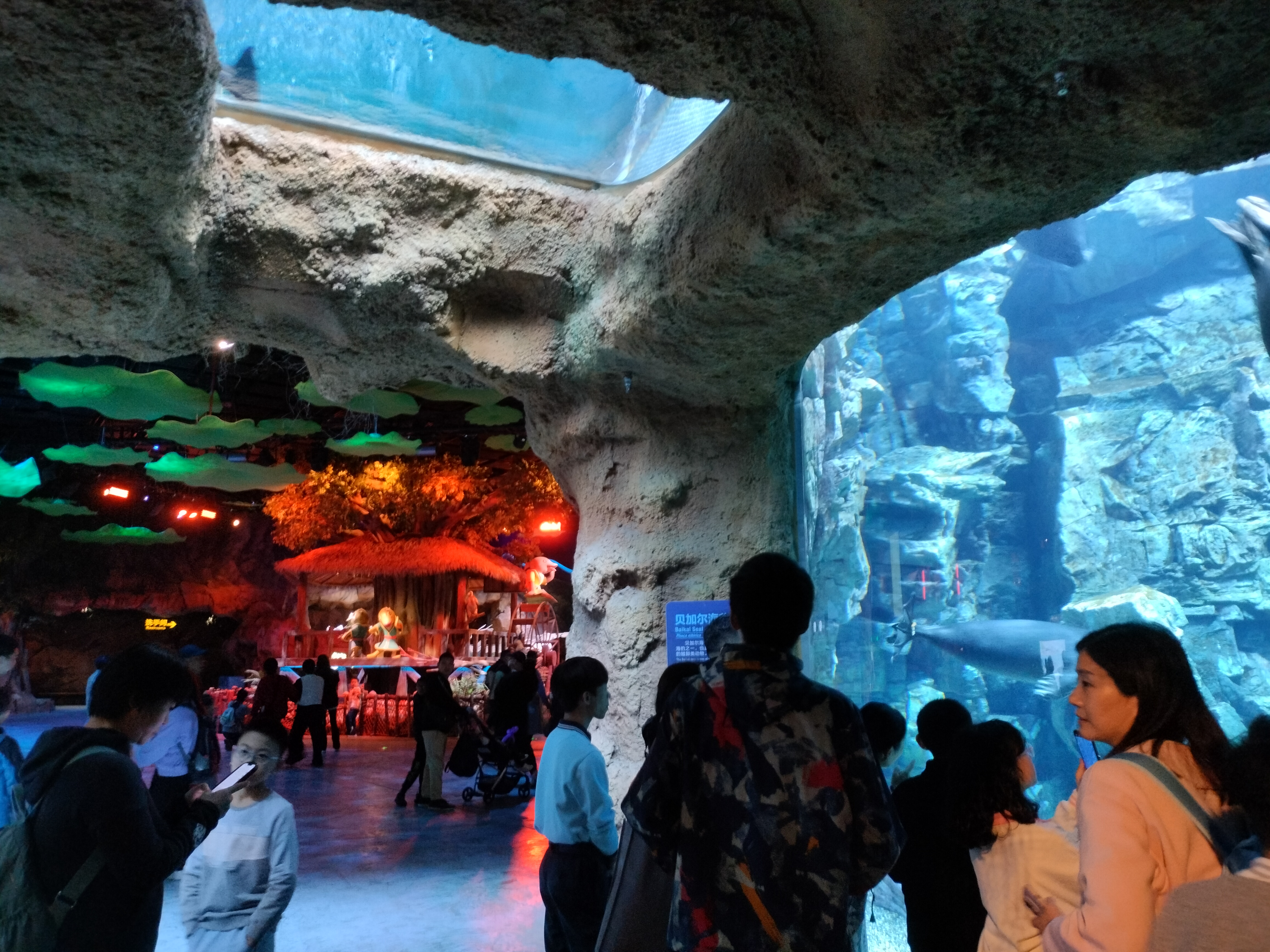 再游长隆超长篇