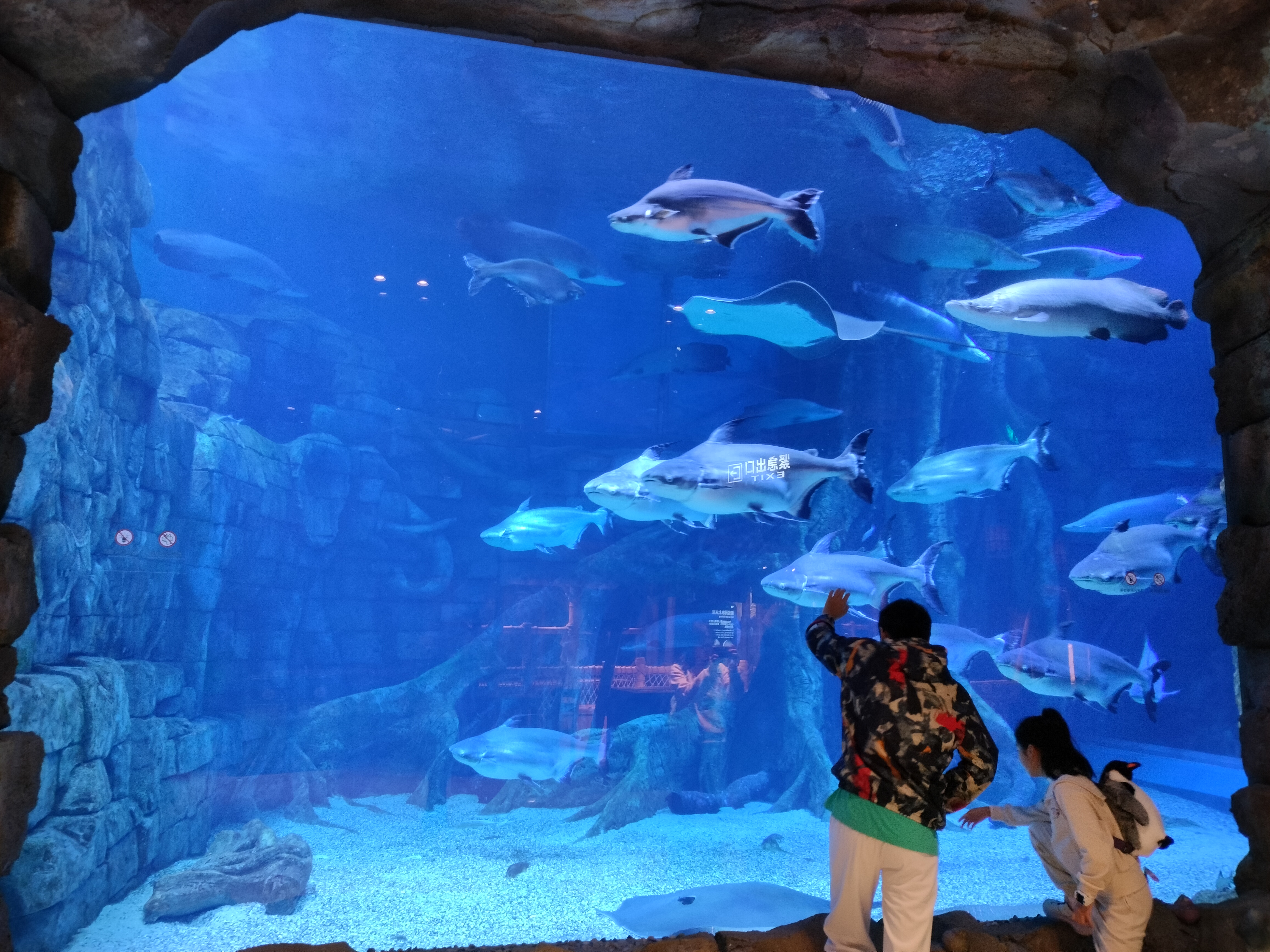 再游长隆超长篇