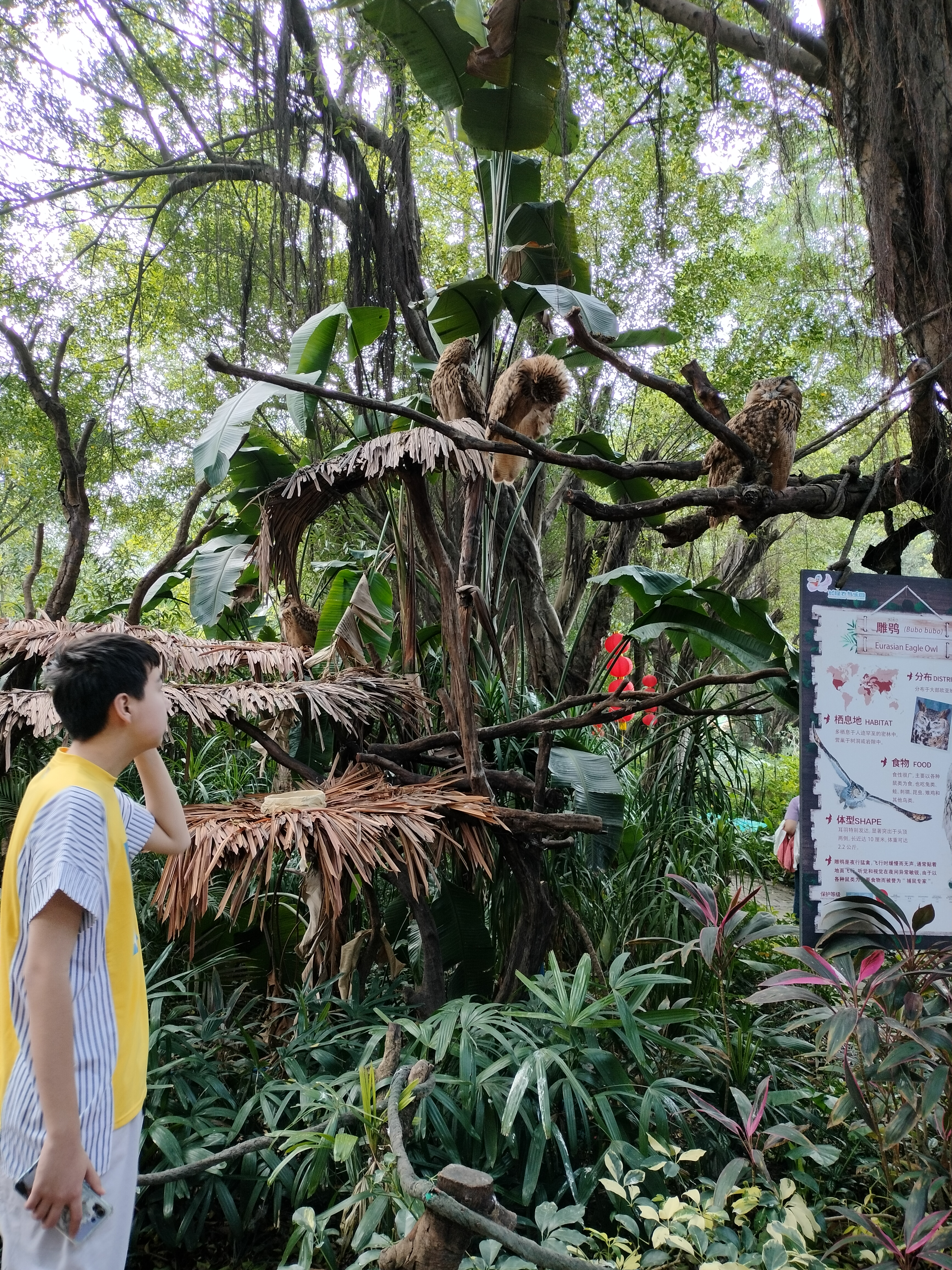 飞鸟奇域,花鸟世界,河马空间,湿地精灵,鳄鱼岛等都是必须打卡之地