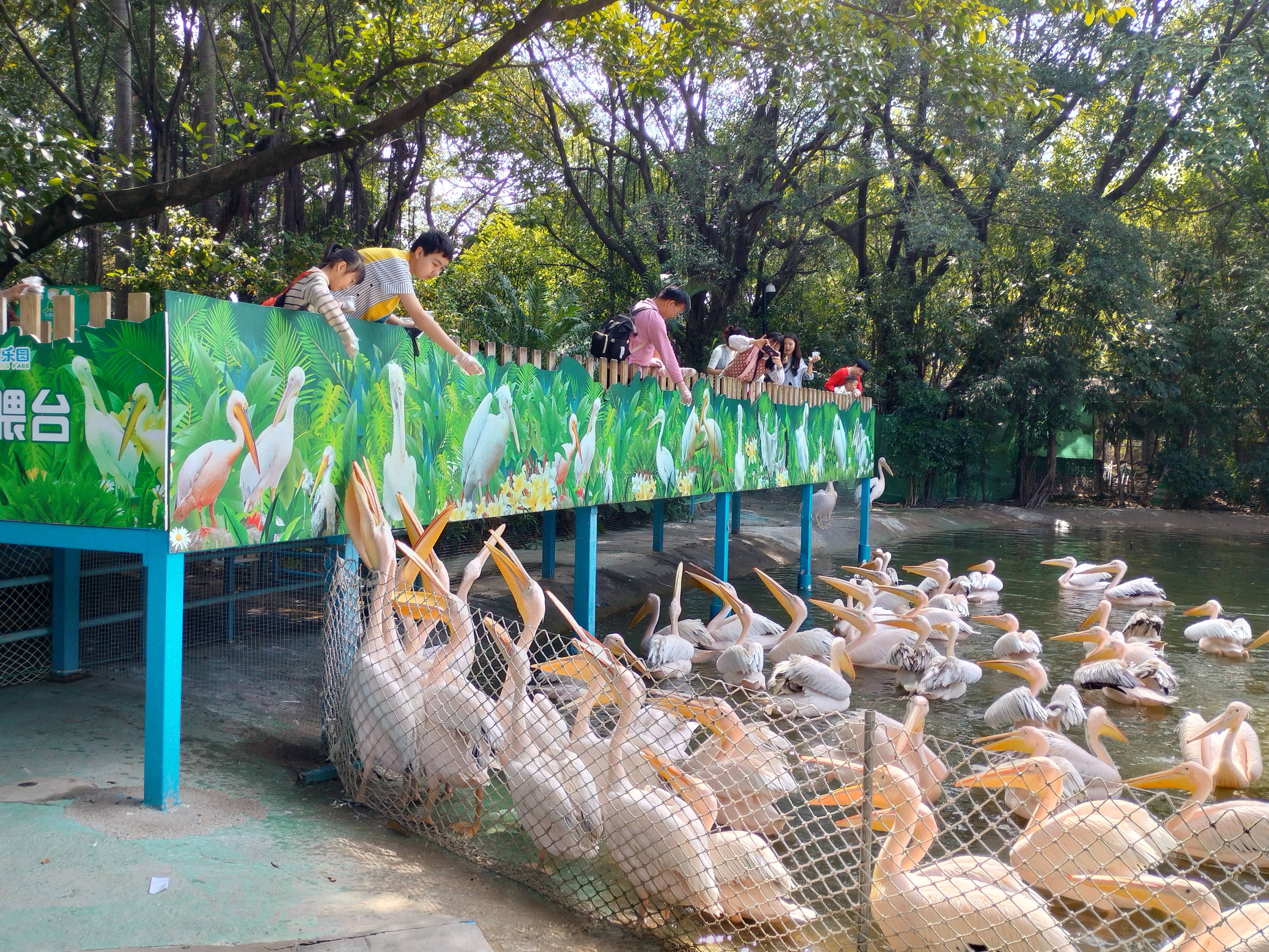 再游长隆超长篇