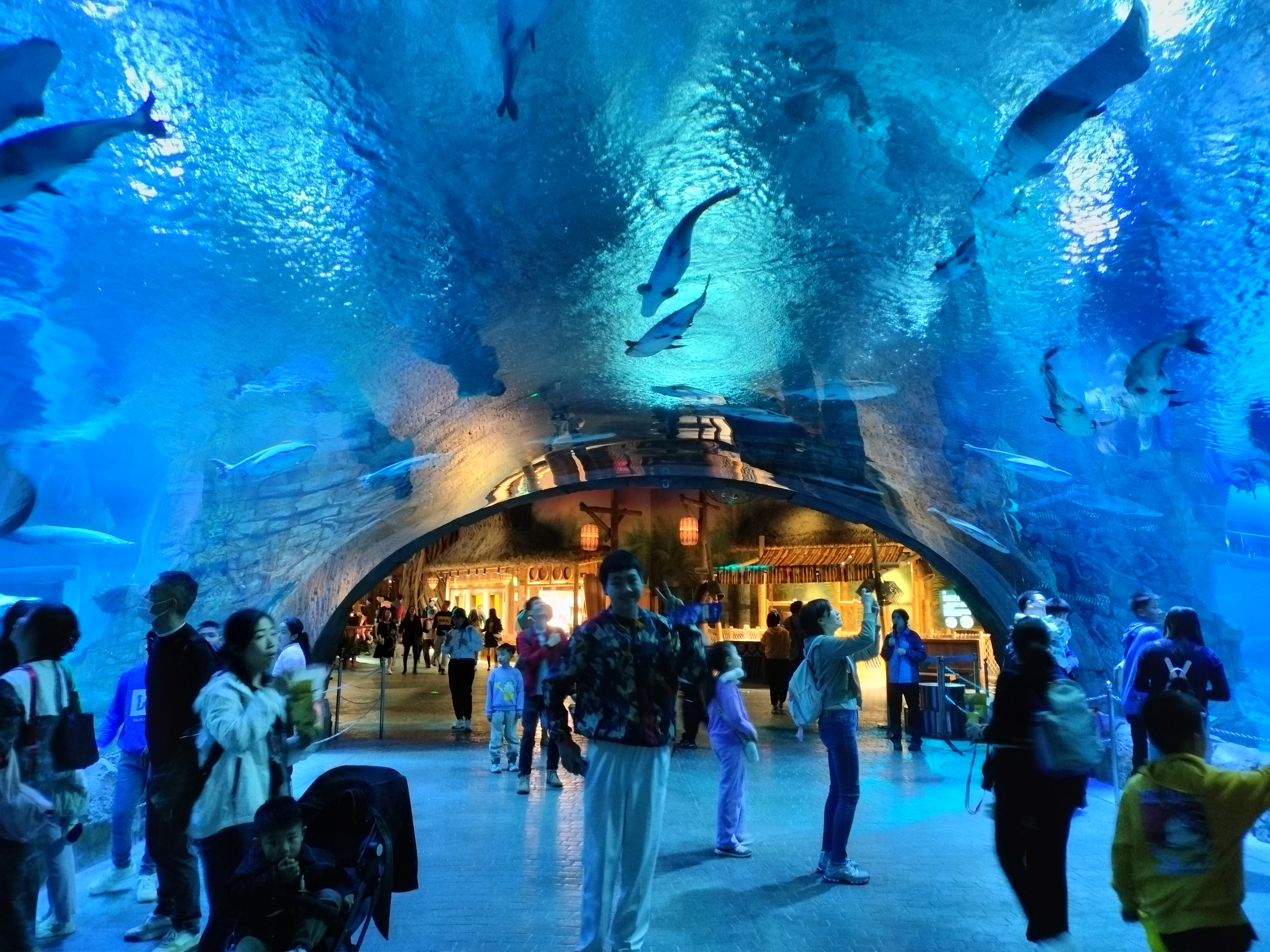 副绚丽的珊瑚世界画卷;匆匆地穿过非洲部落后场馆的闭关时间6点半到了