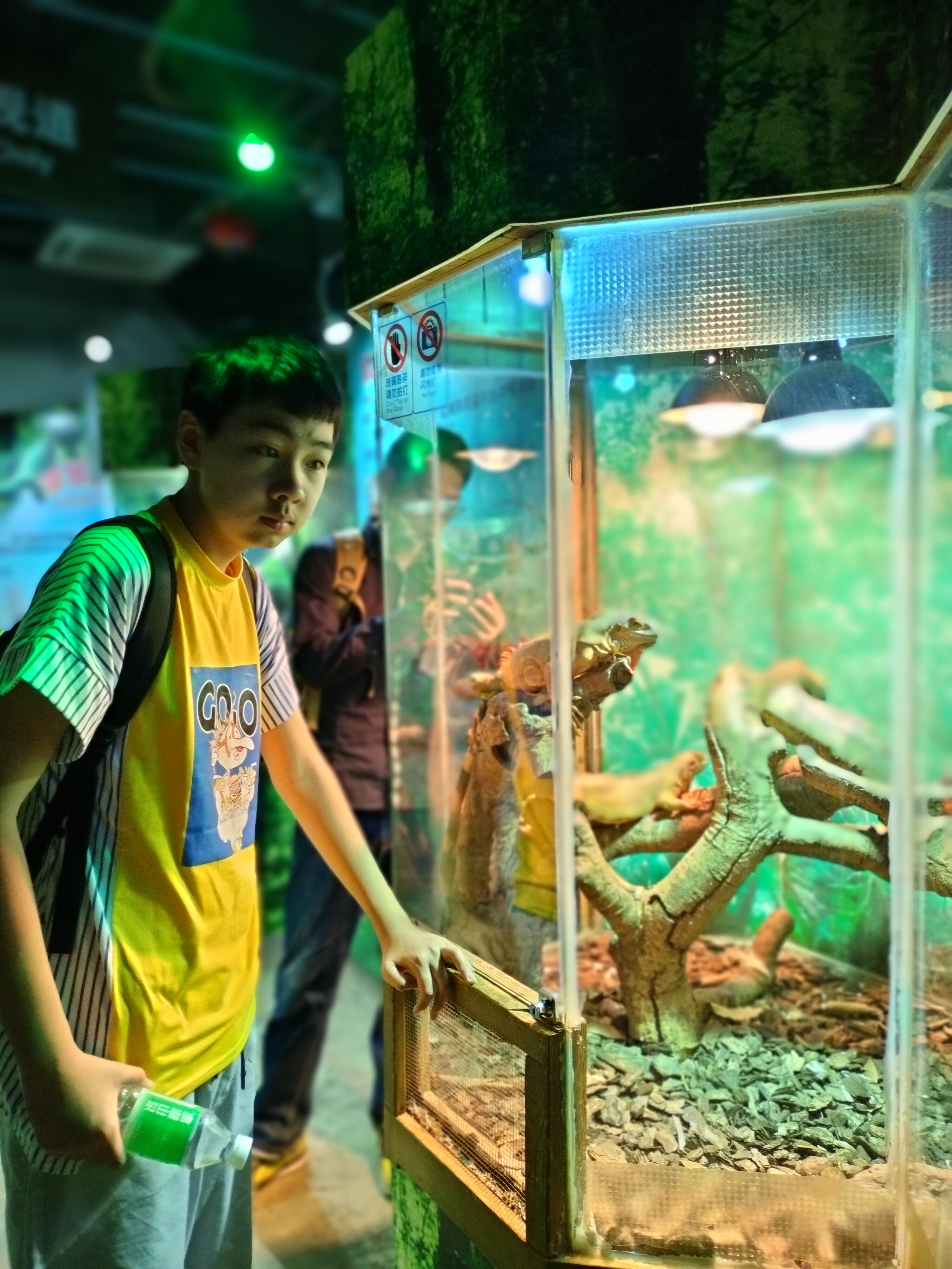 再游长隆超长篇