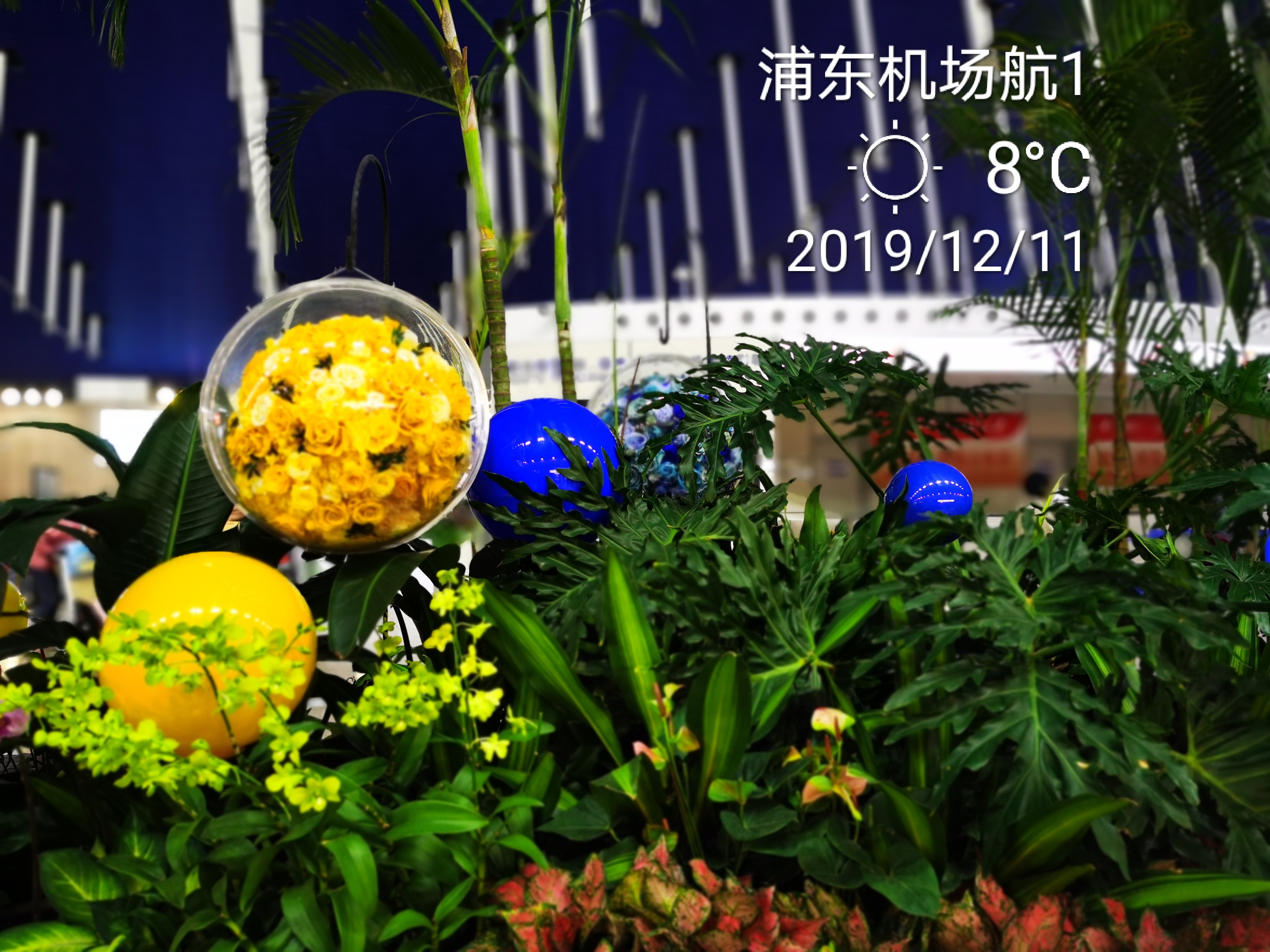 1912新西兰之春游 旅游 攻略游记 途牛