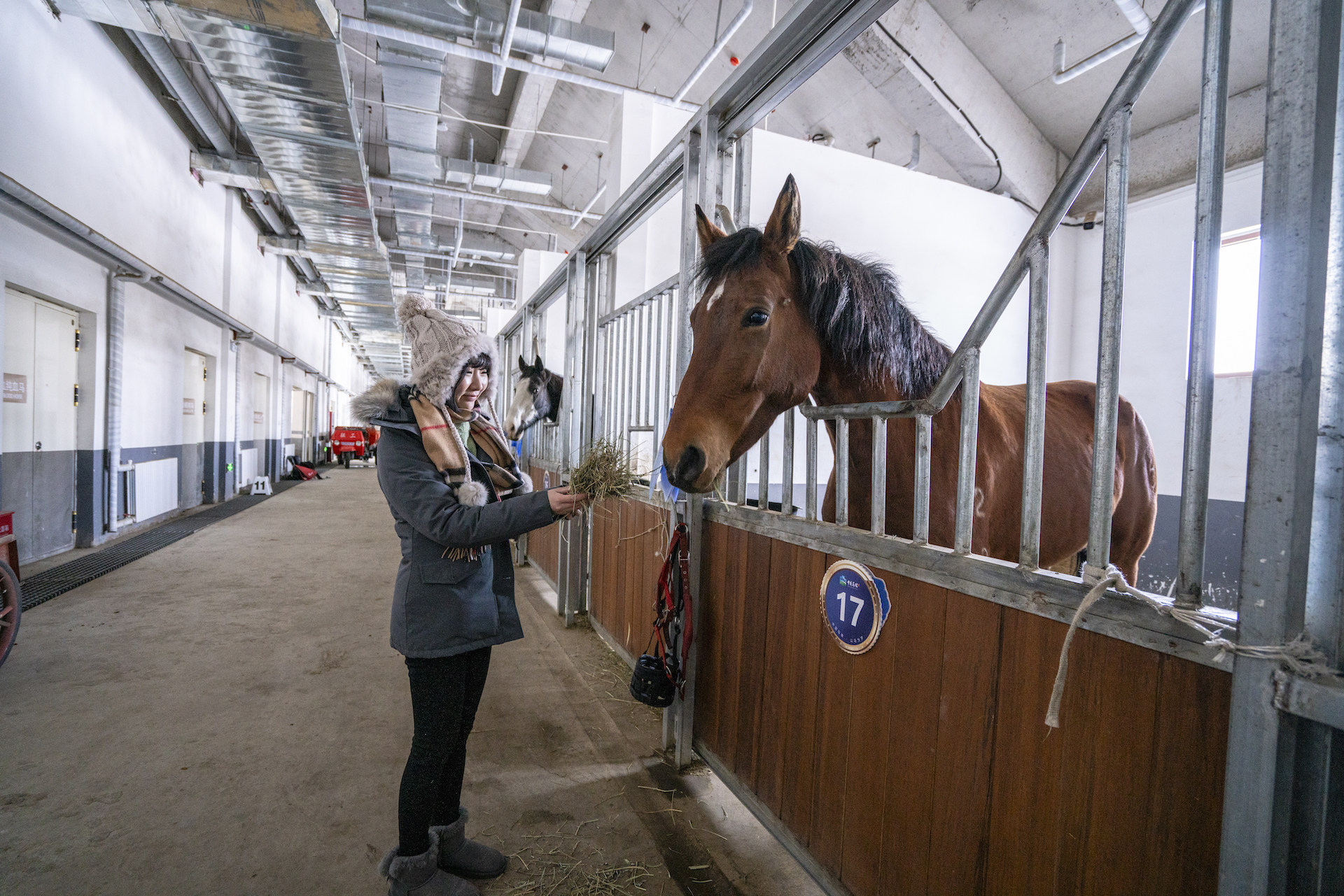 吃烤羊看大秀两天一晚玩转中国马镇旅游度假区的冰与火之歌