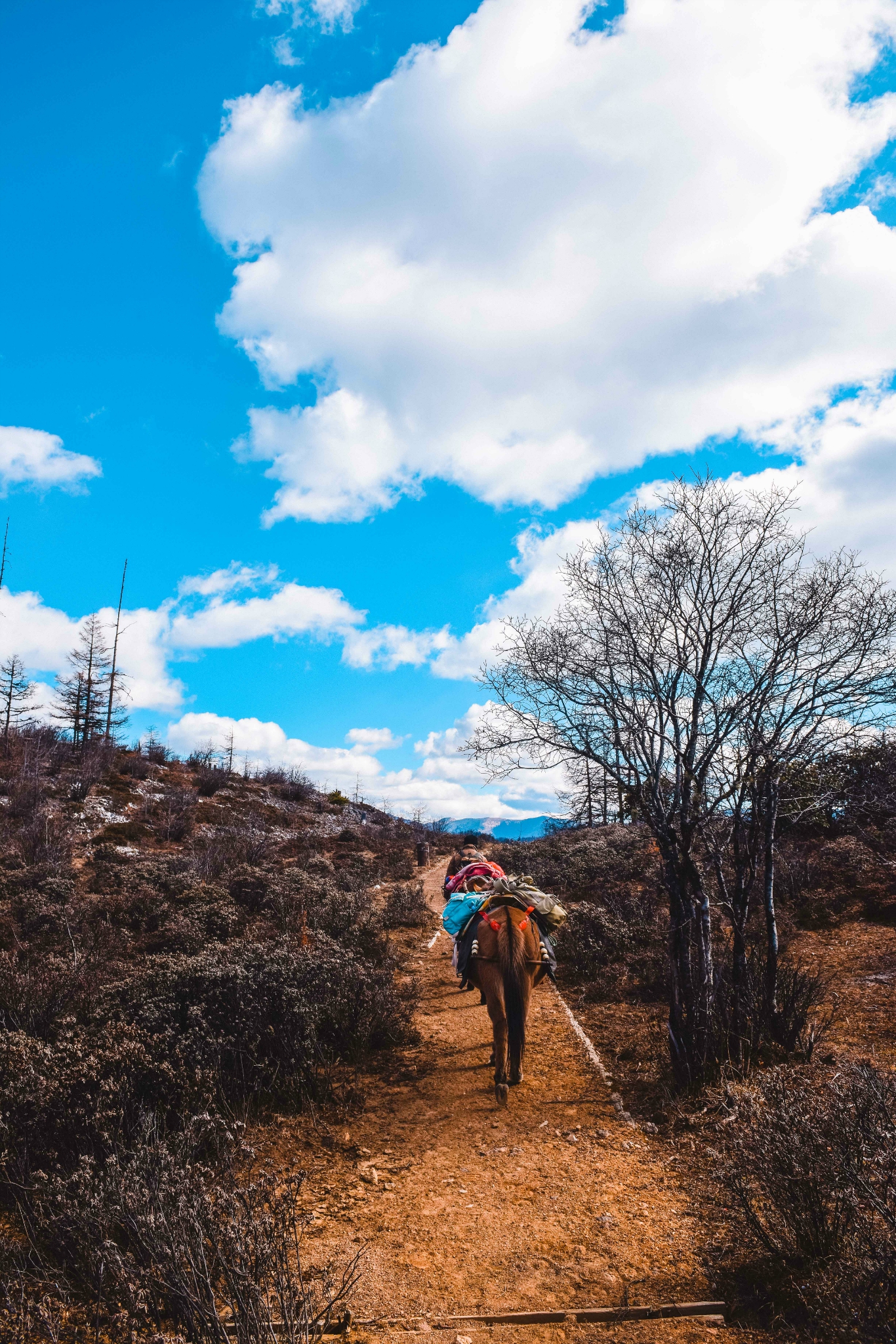 野路少年的玩法尼汝徒步日记