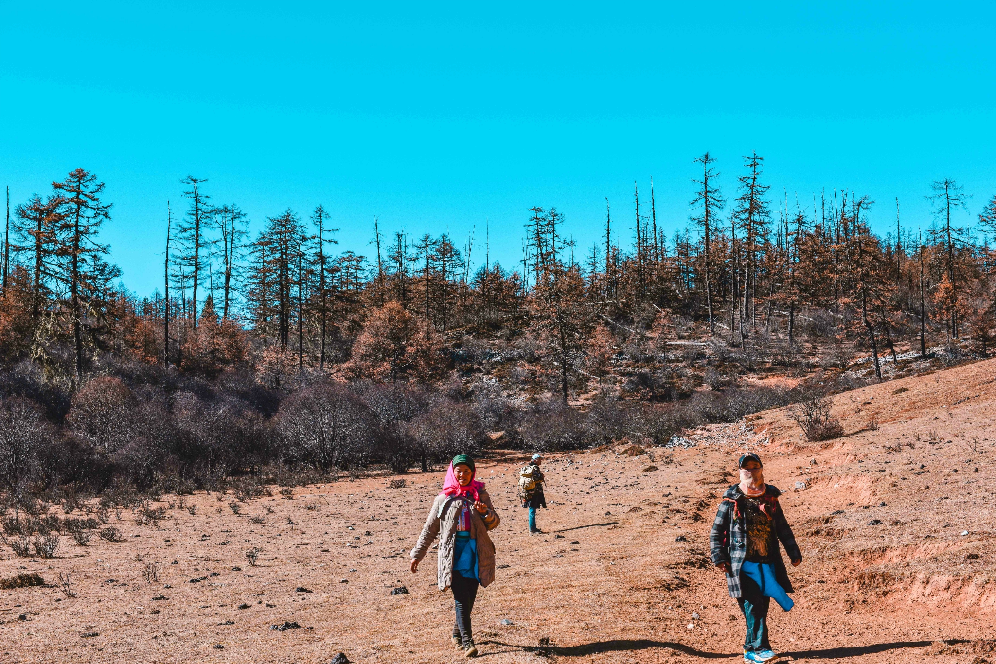 野路少年的玩法尼汝徒步日记