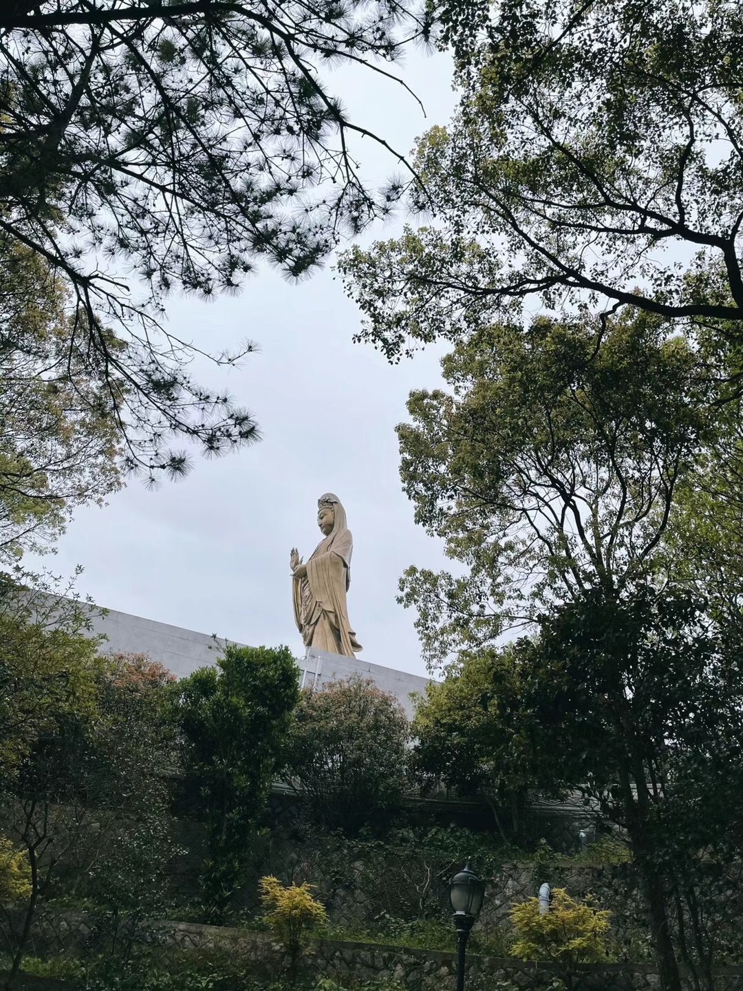 五年普陀山保姆级攻略_普陀山风景区游记_途牛