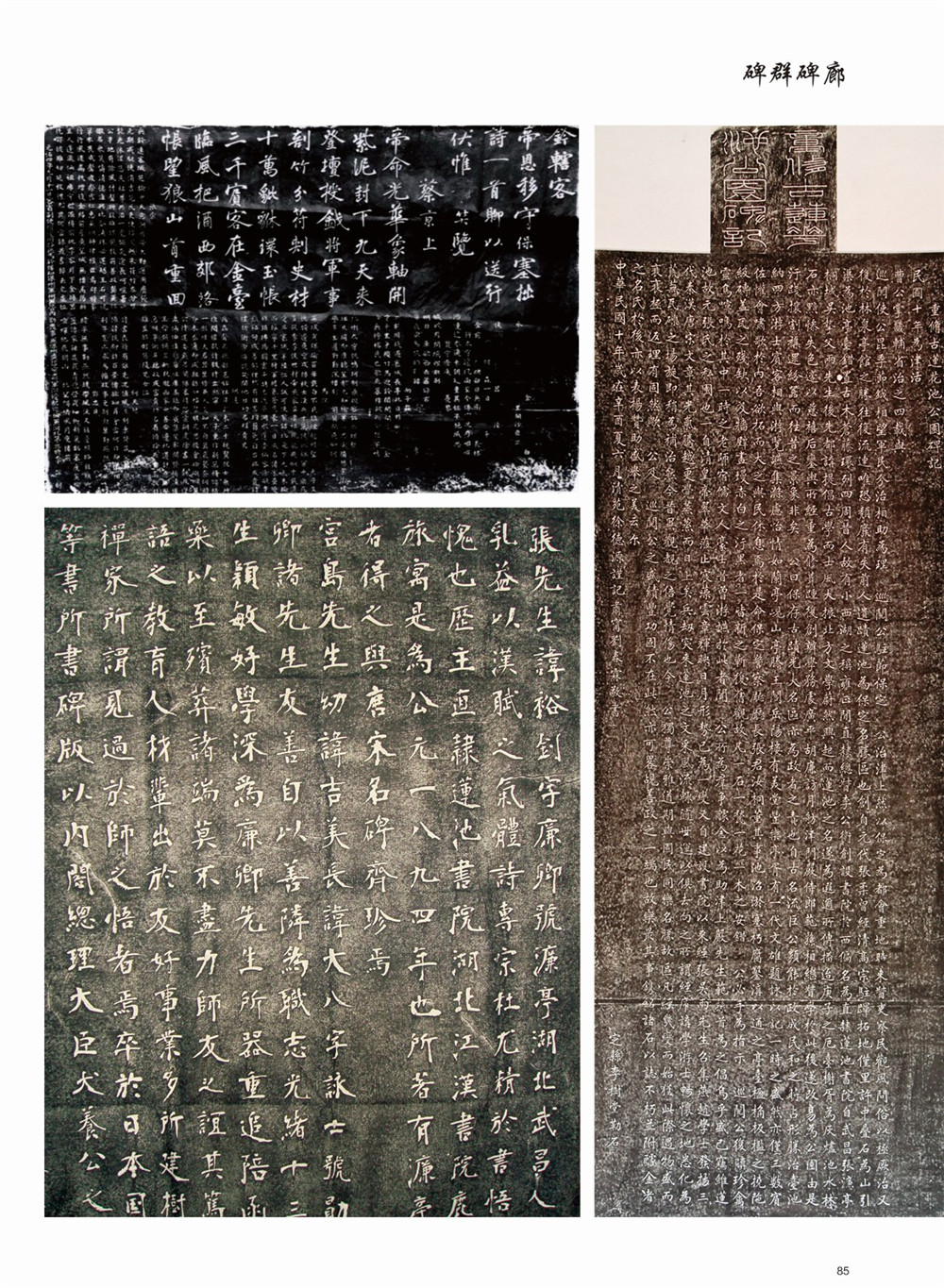 冬日里的古莲花池梦中的童话仙境