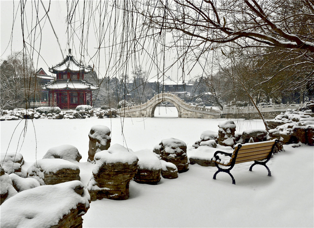 要想看好的雪景,还是要到大隐隐于市的古莲花池