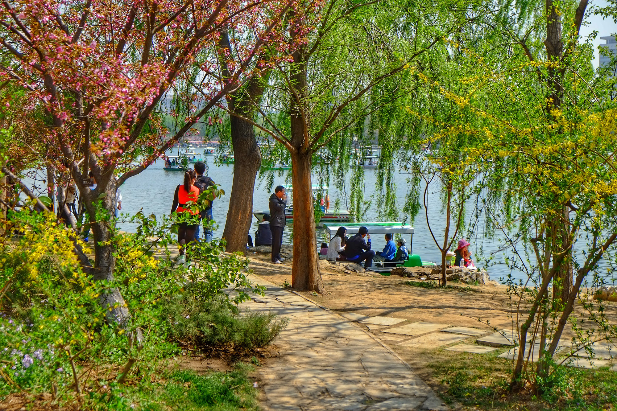 单车自驾:春暖京华,满城花开_玉渊潭公园游记_途牛