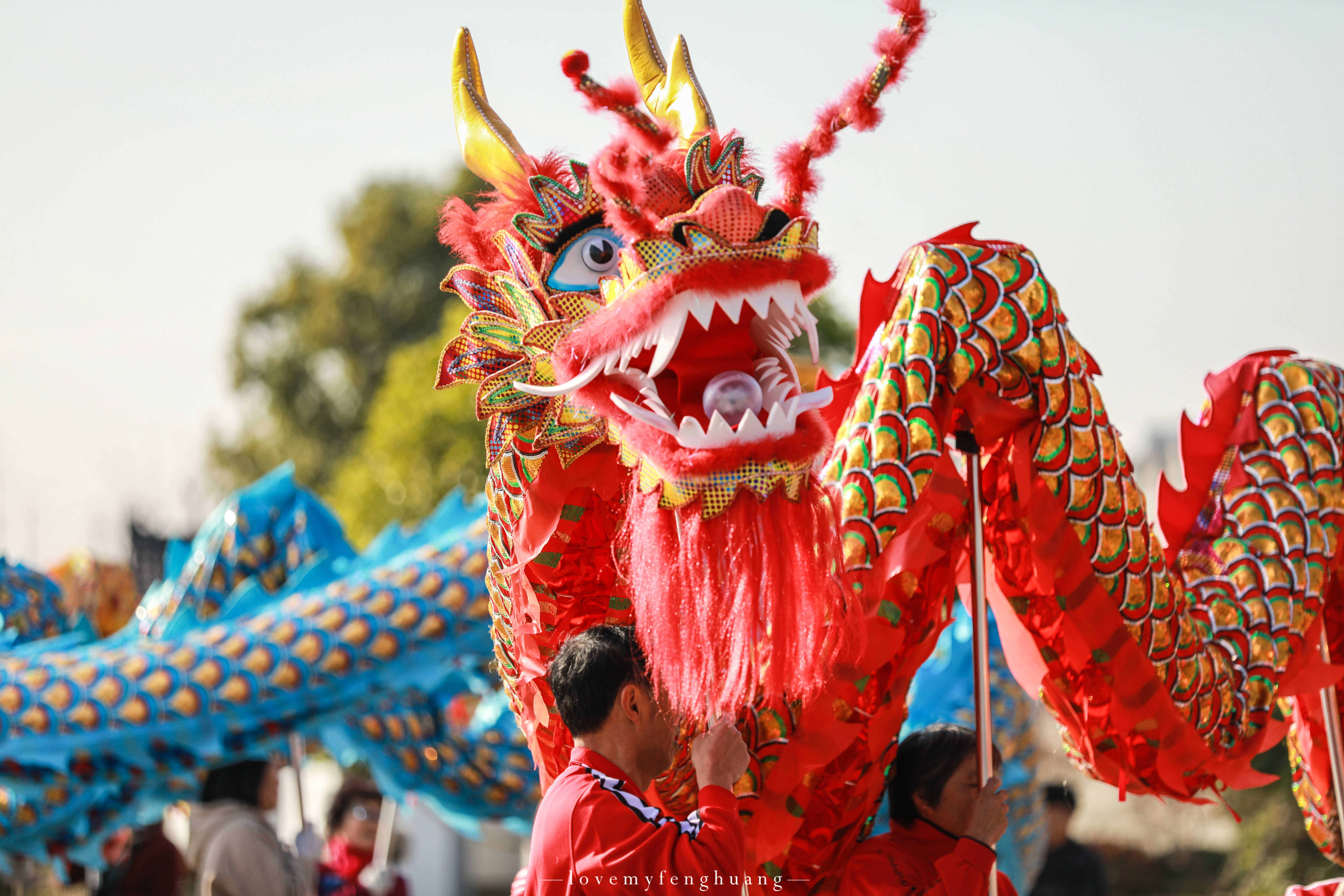 在定川门遇见一群来自民间,自发组织的舞龙