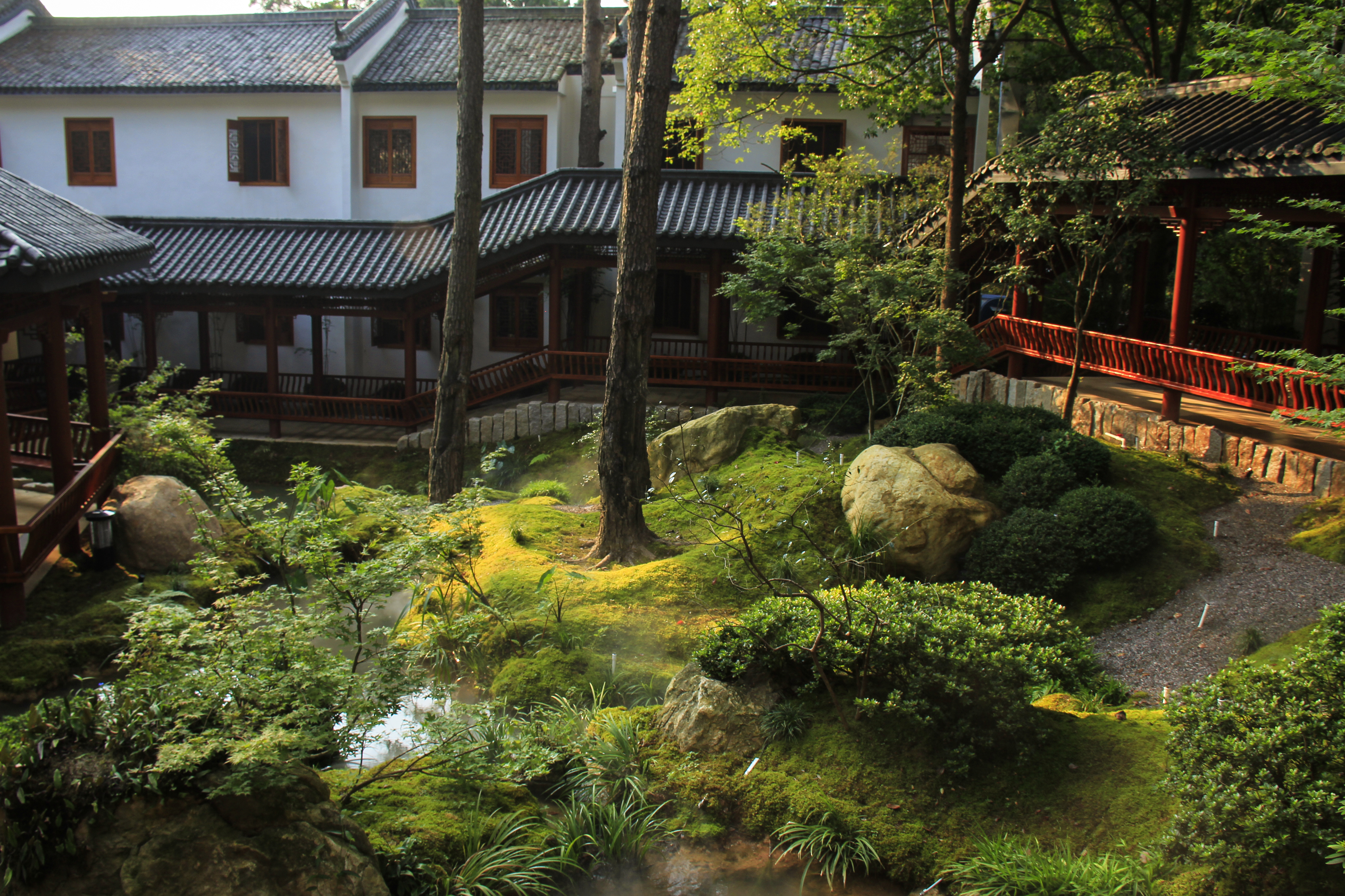 茶陵茶乡花海 -花溪园森林度假酒店 | 心向自然,康养身心