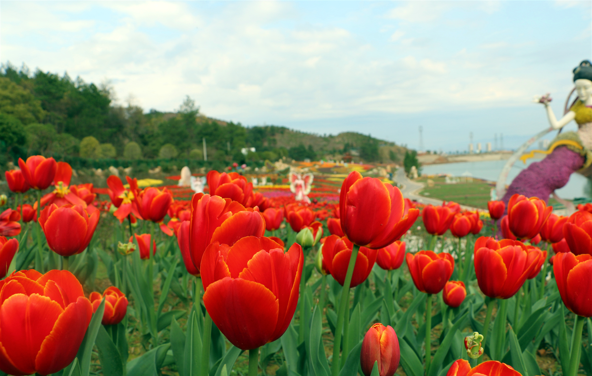 茶陵茶乡花海春意正浓花满枝头一起见识花花世界