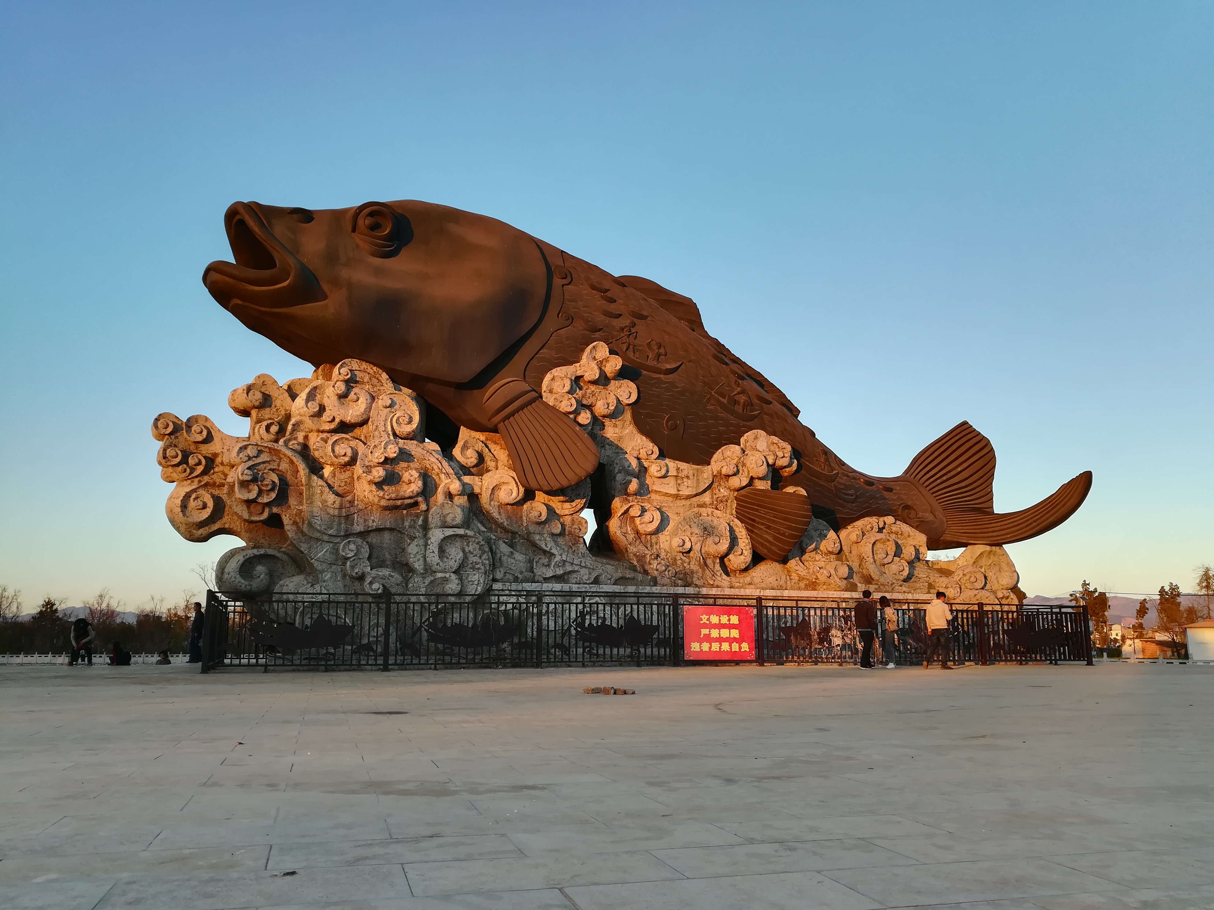 一条大鱼送给你