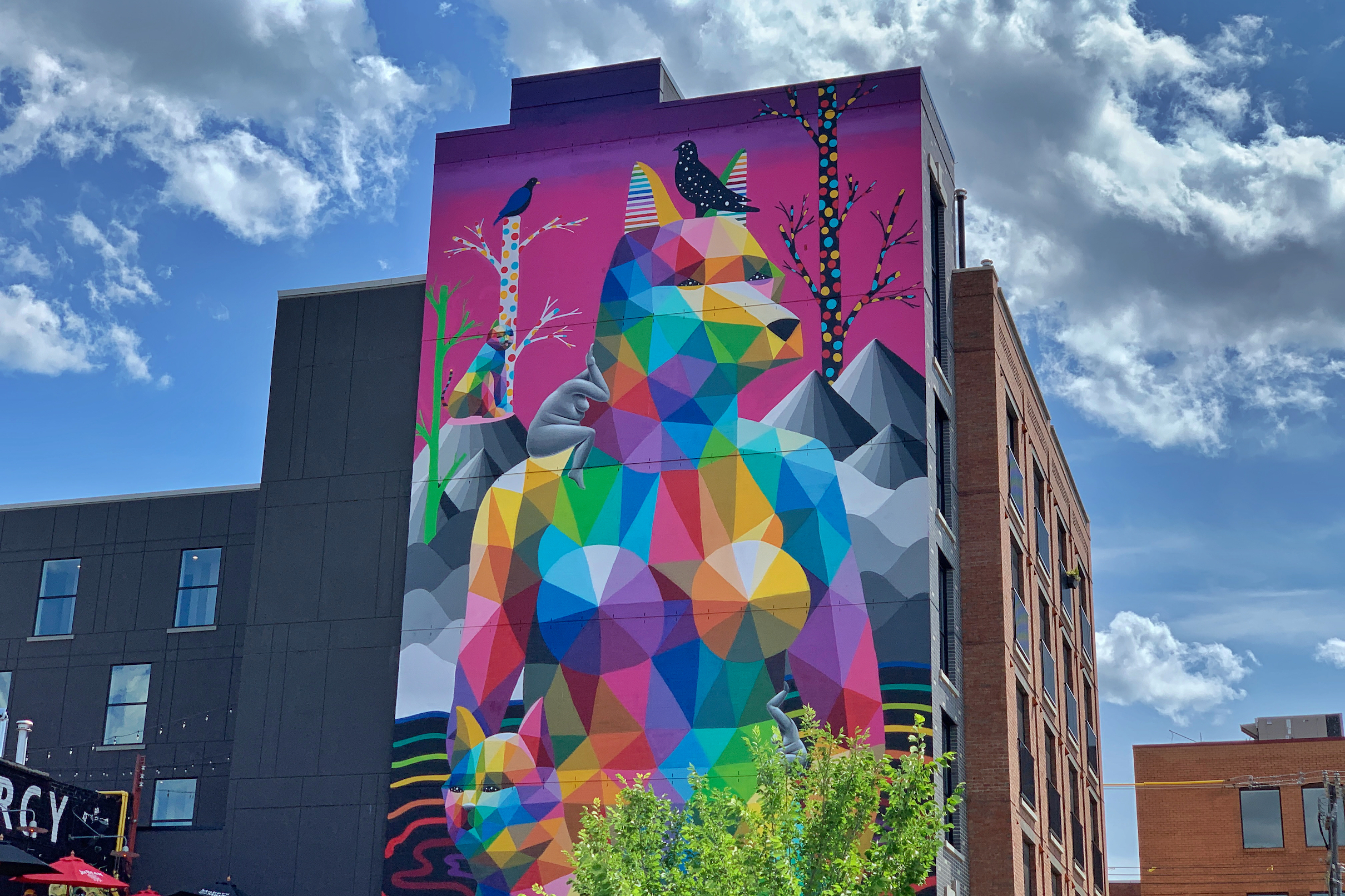 给加拿大人均绿地面积最大的城市刷一波存在感