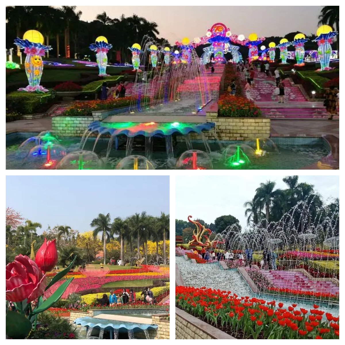 广州赏花新去处第一选择云台花园