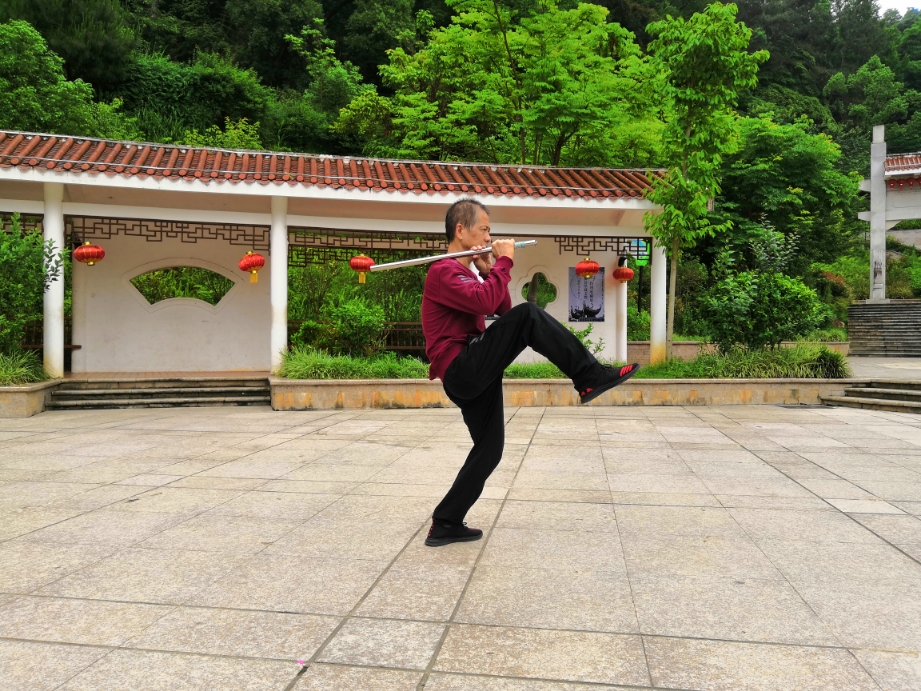 温习一遍陈氏太极鞭杆太极短棍46式