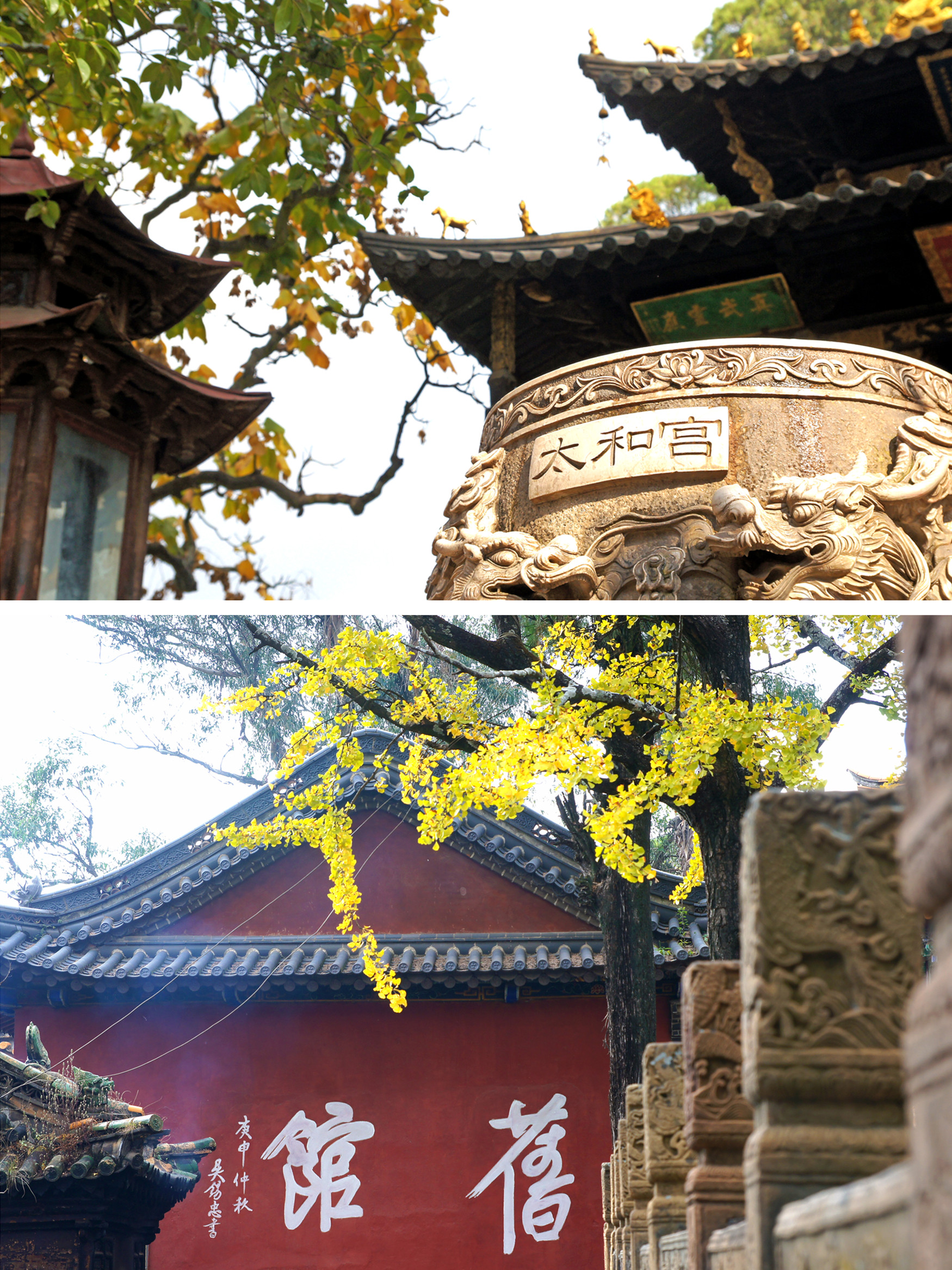 市盘龙区穿金路771号9496开放时间:7:30-18:009496门票价格