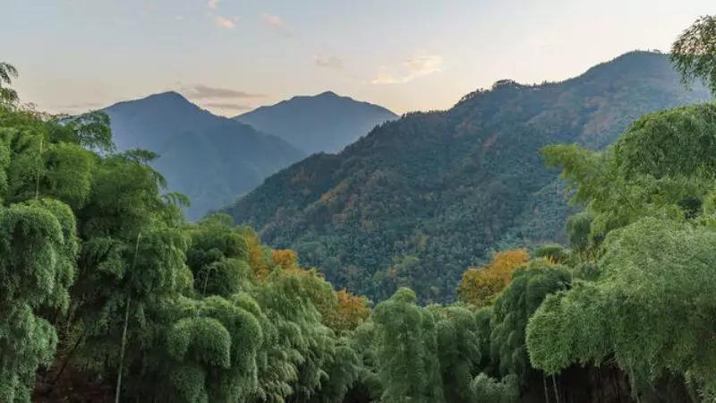 睡风景宿情怀399元起隐居安吉驿云耕云居在云雾缭绕中