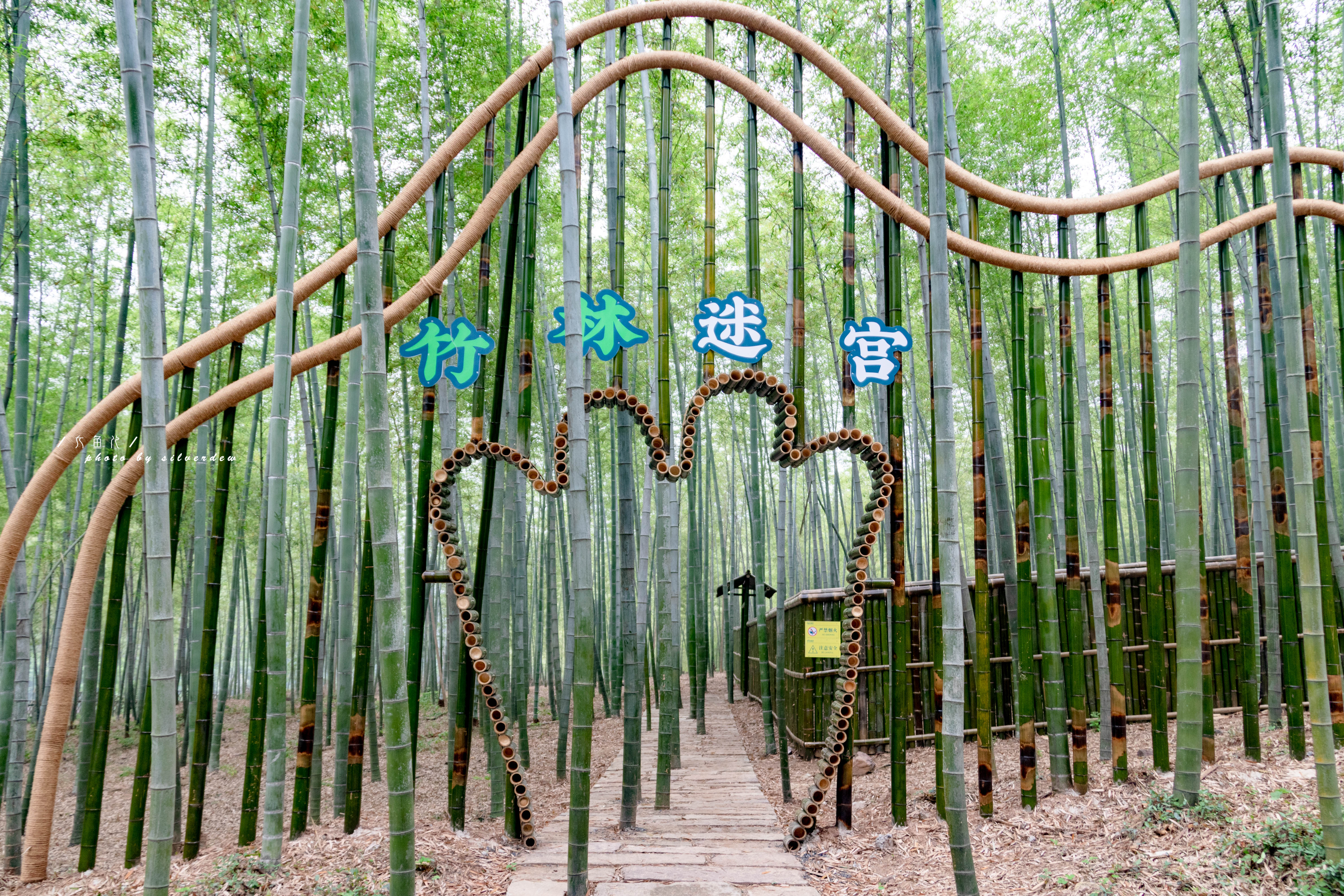 首发|畅游童话世界中的「绿野仙踪」——茅山宝盛园