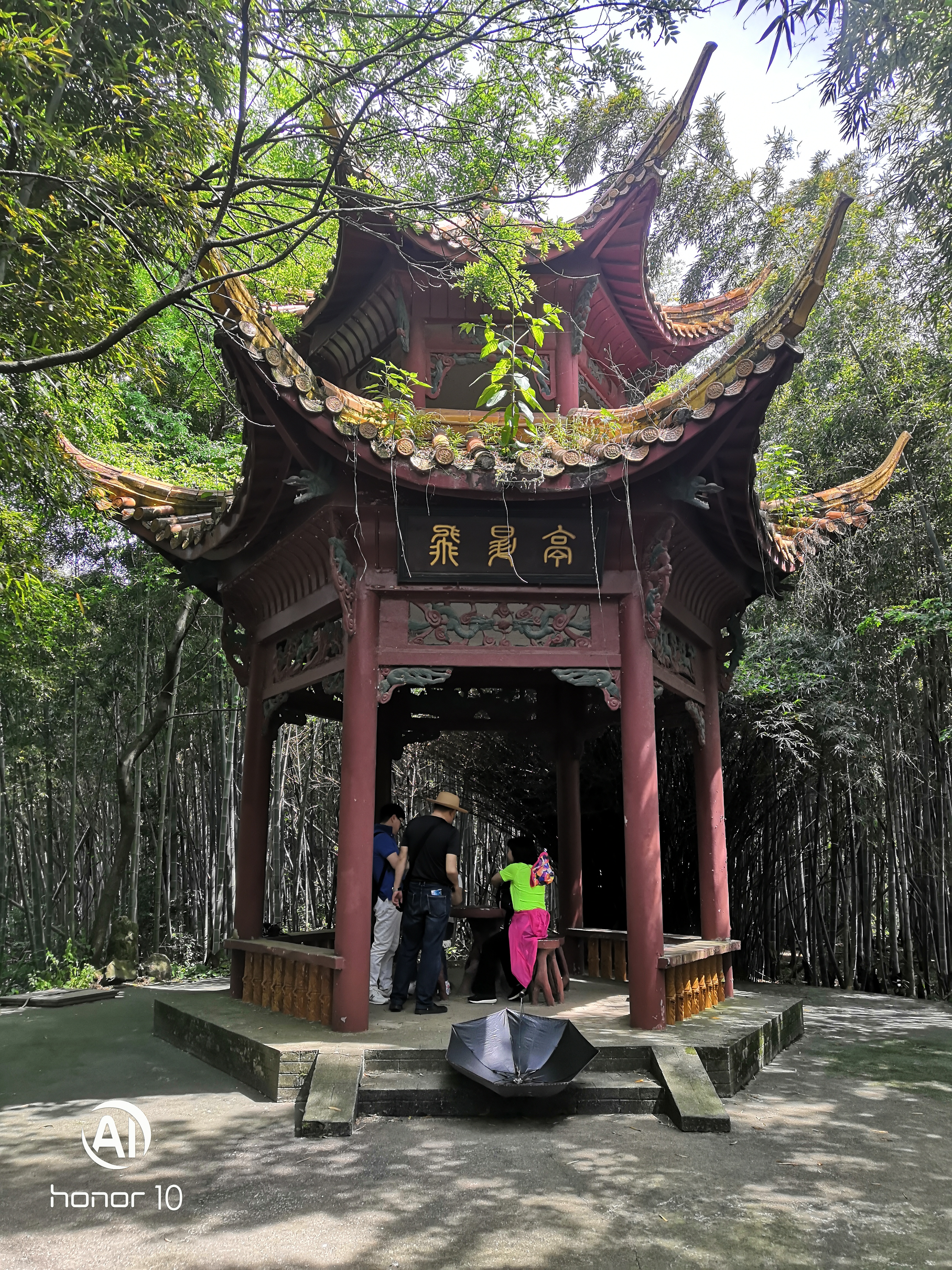 洞庭湖岳陽樓君山島金鶚山公園岳陽二日遊