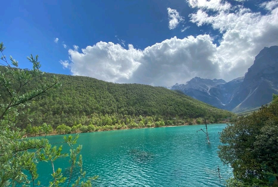 美图美景这么美的丽江你不心动吗