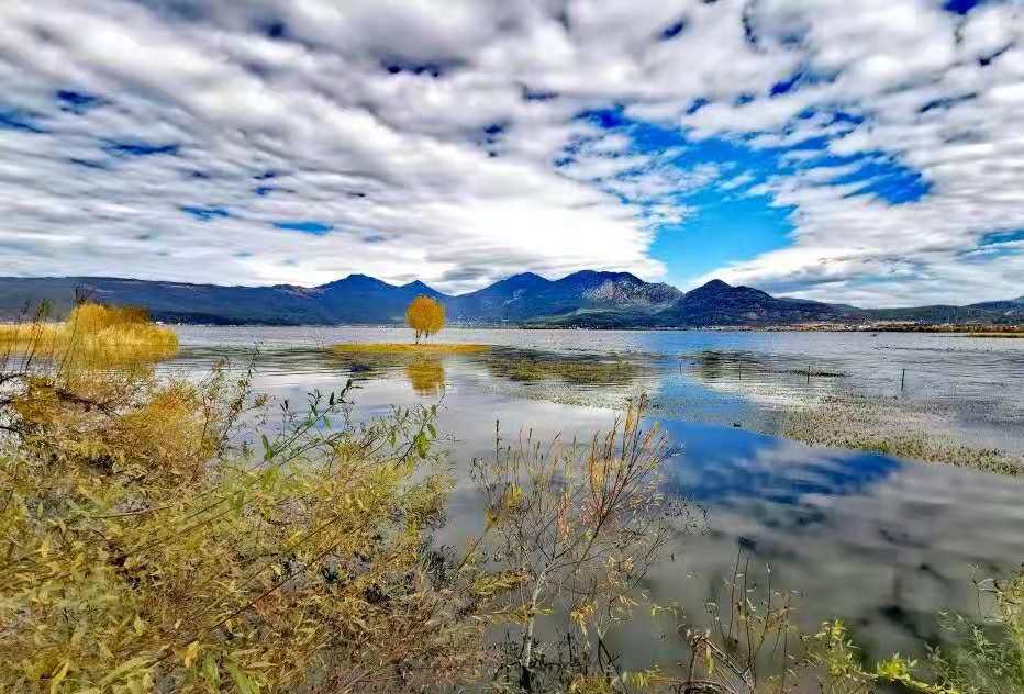 美图美景这么美的丽江你不心动吗